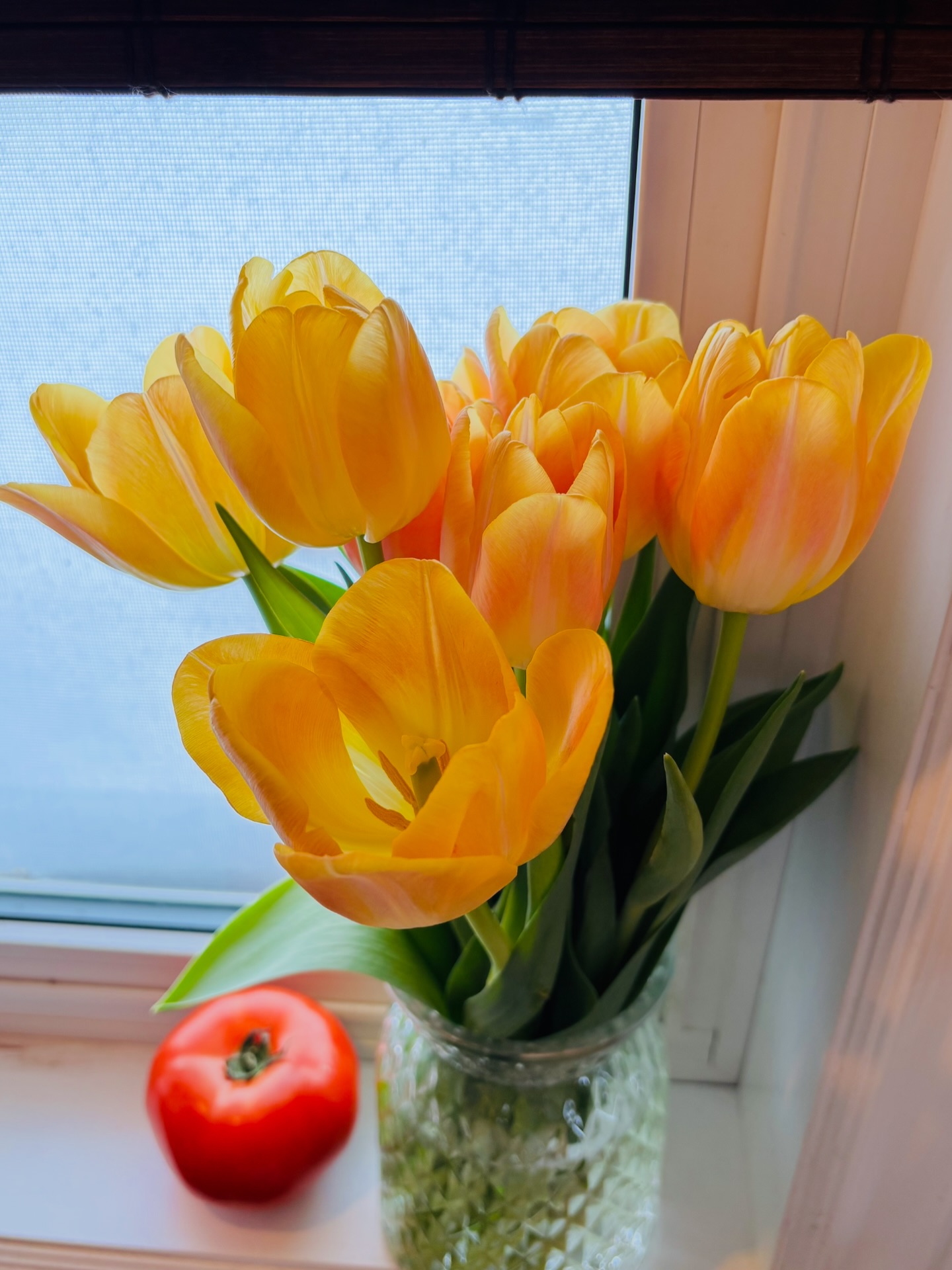 I’ve used our snow days for inspiration & conspiring for new creations this week🌷
I’ve also completed a soft launch of our online boutique:
www.therenewalroom.com <<< where you can shop from home on your snow days🙏🏻
In this specific moment, I’m manifesting warmer days with the tulips my daughter was so kind to bring home 💕
.
.
#gratitude #manifestingspring🌸 #ontariosmallbusinesscommunity #websitelaunch #onlineboutique