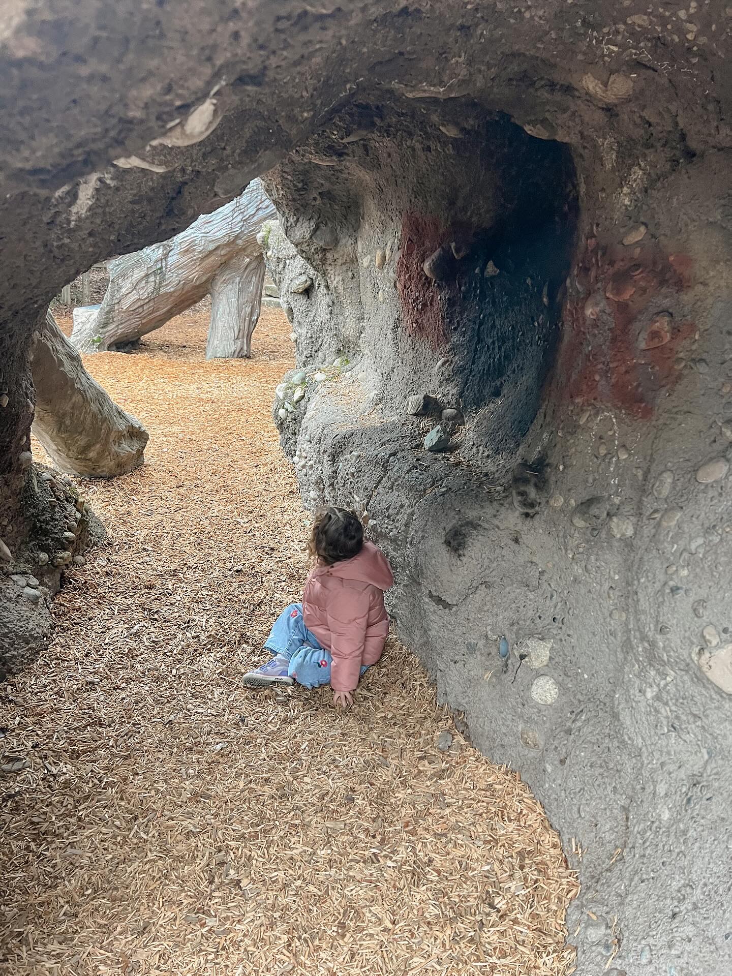 Check out today’s blog post to see where this fun park is 🌲