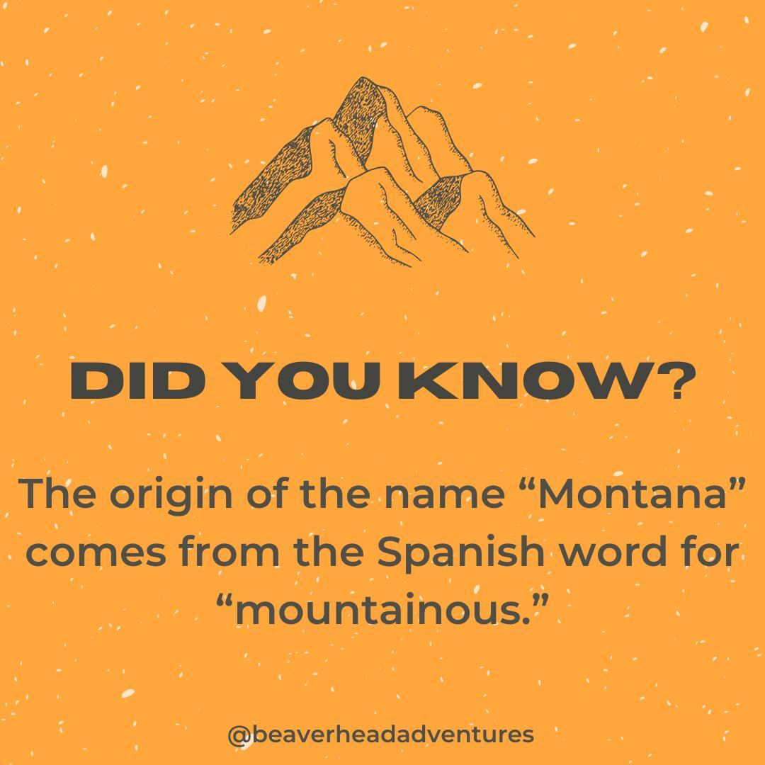 The mountains are calling! From Glacier National Park to Trapper Peak and every mountain in between, with Beaverhead Adventures, you are ready to explore at new heights. 😎⛰️
#bigskycountry #bigskymontana #dillonMT #montana #adventure #adventureawaits #wanderlust #rentals #polaris #rzr #bote #paddleboard #atv #sidebyside #utv #rv #snowmobile #explore #nature #travel #offroad #polarisrzr #canam #sxs #4x4 #quad #offroading #glaciernationalpark #trapperpeak #mountains