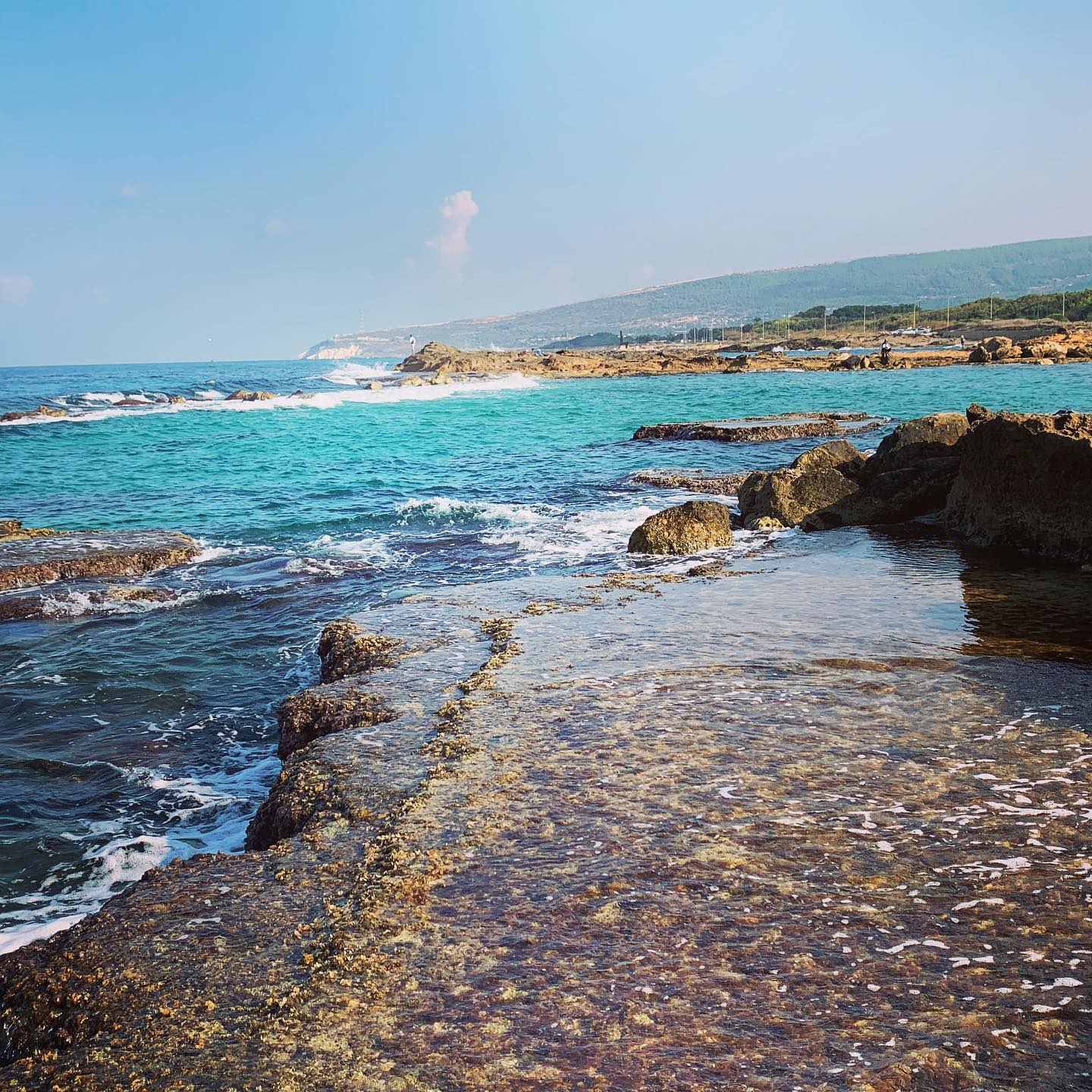 #aczivbeach #northenisrael #galil #israel #travellocalisrael #natureisrael #beautifulisrael @travellocal.israel