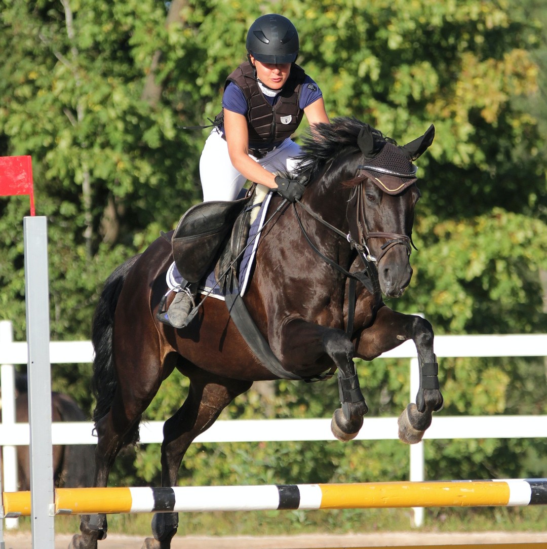 Let's talk...
Feeling safe and secure in the saddle 🐎
Feeling safe and having a comfortable horse means:
🔑 better strides
🔑 better performance
Have you noticed this too?
#Saddletrader #saddletraderuk #Saddle #Saddleforsale #stocksadle #horseridinguk #horsesofinstagram #Tackforsale #saddleshop #saddlery #uksaddles #cowgirl #westernriding #horseowner #equine #equineworld #horseblog #modelhorsesphotography #horseownersofinstagram #horselife #equestrianlife #equinehour #equinelove #countrysideliving #countryliving