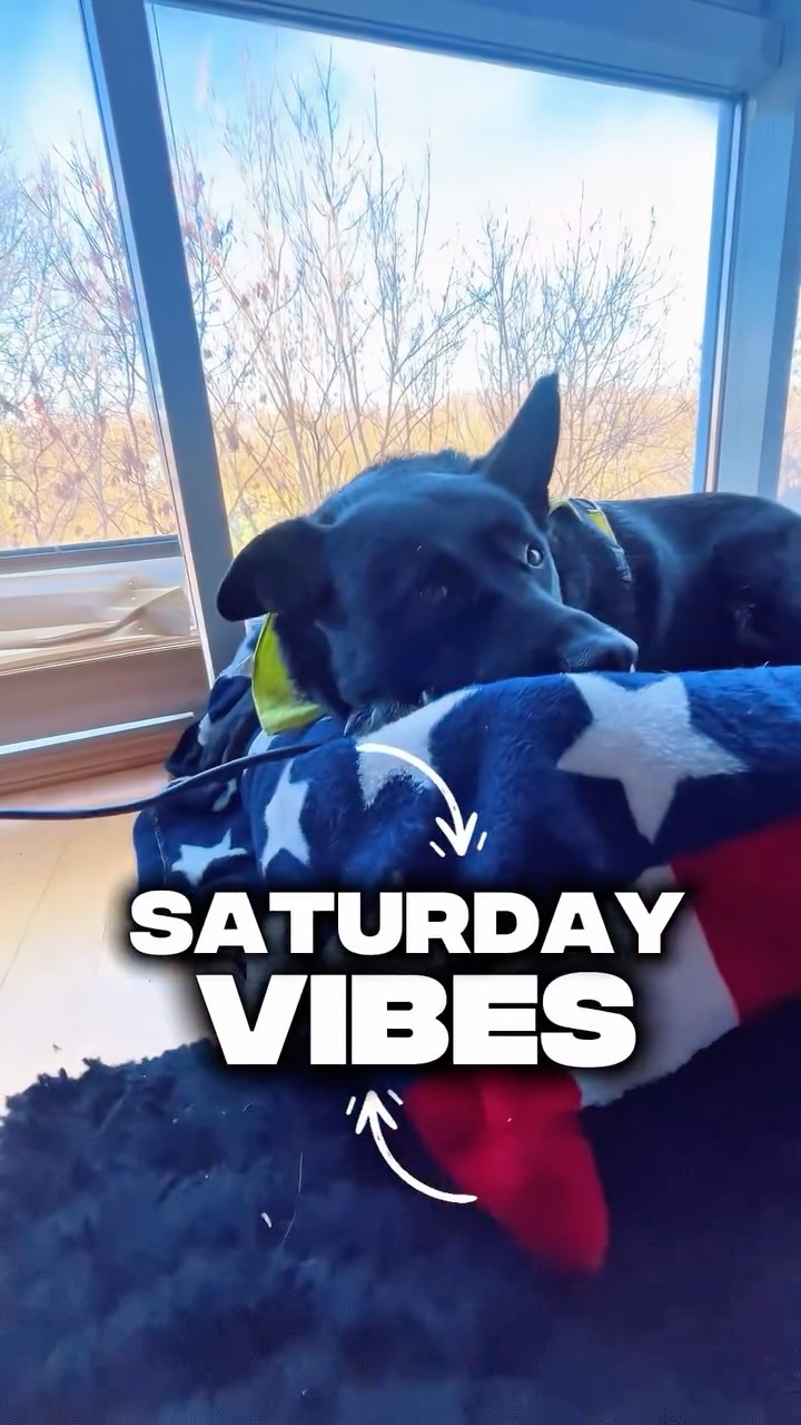 Samstag. Zeit vergessen. Leine locker, Kopf frei.
Nero und ich unterwegs, irgendwo zwischen frischer Luft, guten Gedanken und genau dem Tempo, das sich richtig anfühlt.
So sehen unsere Saturday Vibes aus – ruhig, echt und voller kleiner Momente, die bleiben.
#SaturdayVibes #WeekendWalk