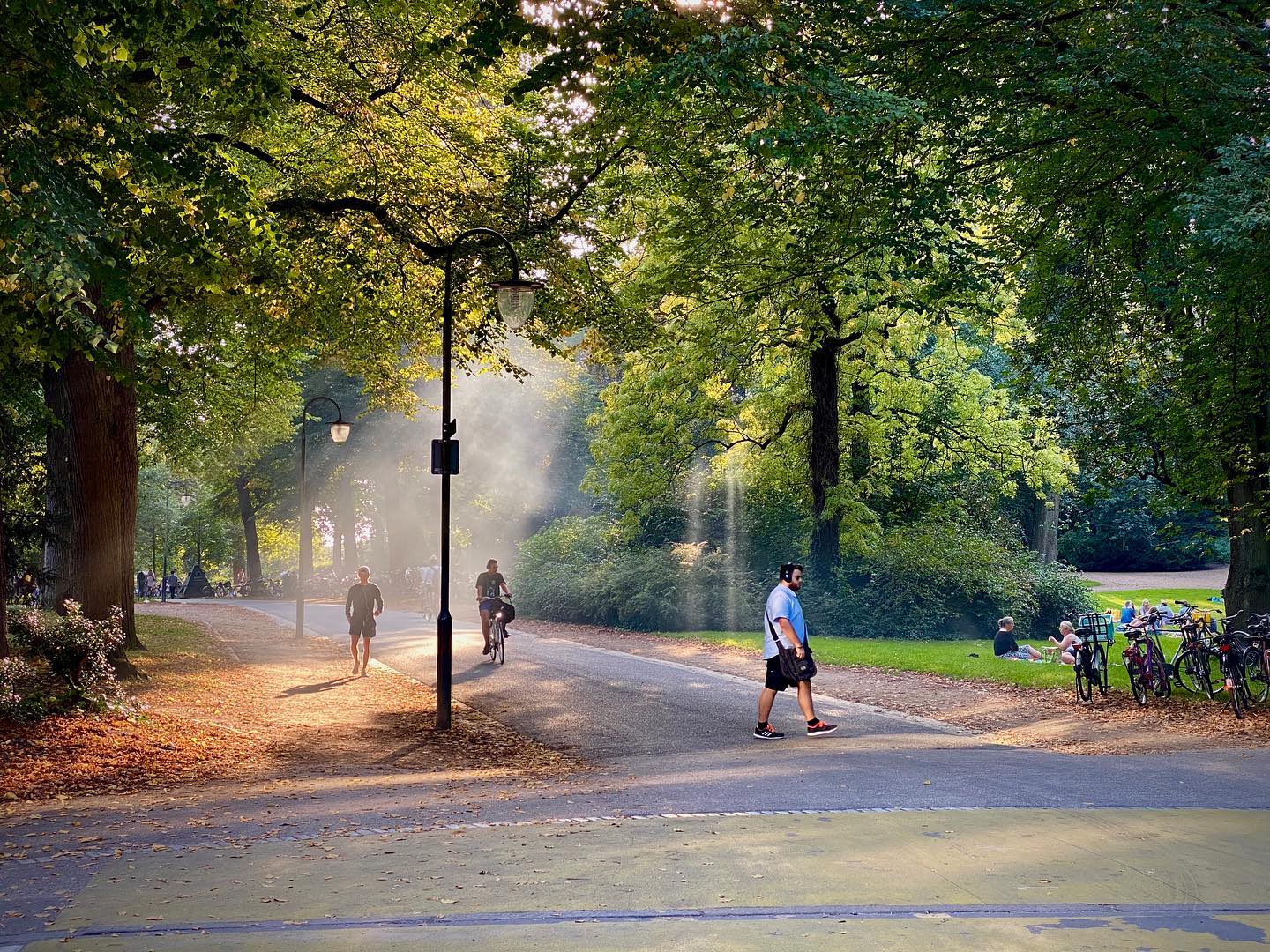 Hot September afternoon in Noordplantsoen Groningen. The air turning hazy with barbecue smoke.
#shotoniphone #streetphotography #weather #groningen #noorderplantsoen #park #artsy #photography #fotografie #goodvibes #goodafternoon
