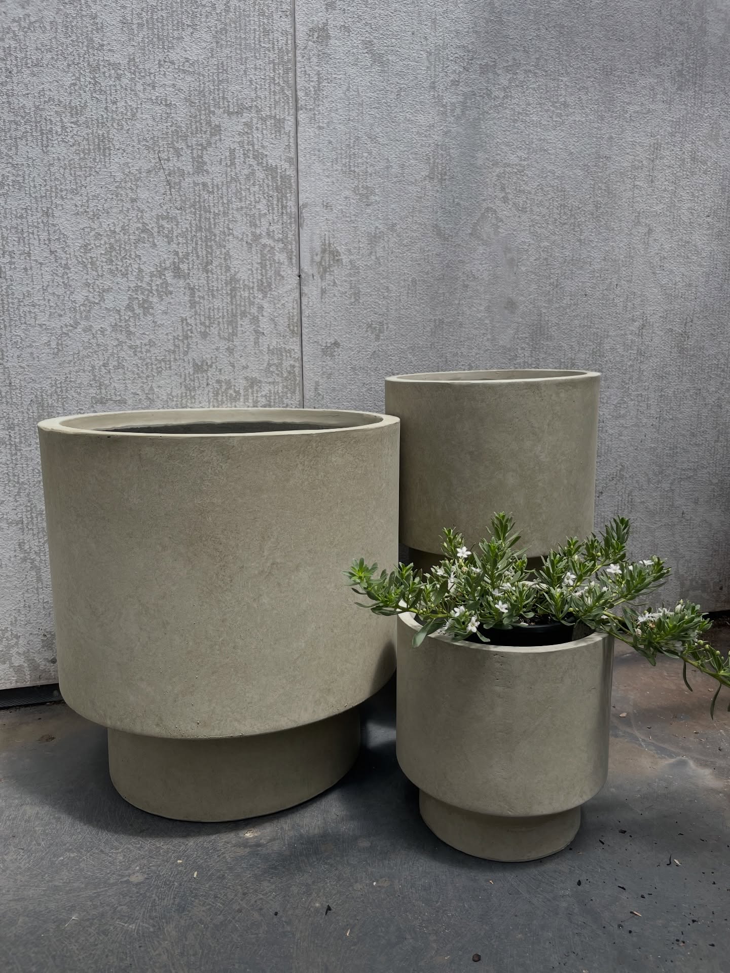 Come in and check out our newest collection of light weight pedestal pots!! 🪴
Deceptively easy to reposition, with a generous sized interior that gives your plants room to thrive!
From trailing vines to bold foliage these pots handle them all with effortless-style
Clean lines. Neutral tones. Modern design
Available in multiple sizes.
#modernaesthetics #modernhomedecor #plantpots #plants #plantlife