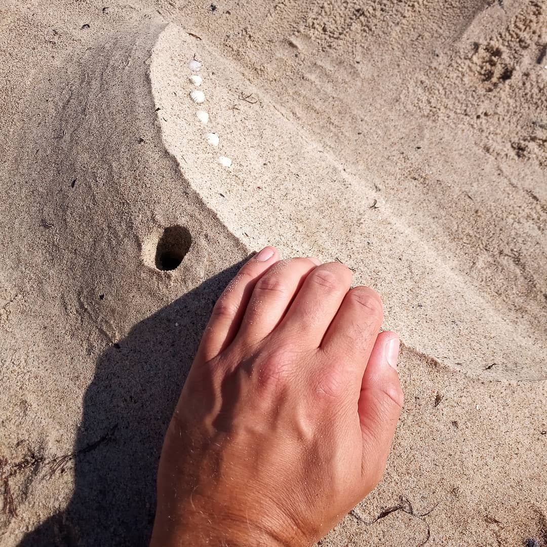 OSTSEE 01 Erster offizieller Sandstrandgriff