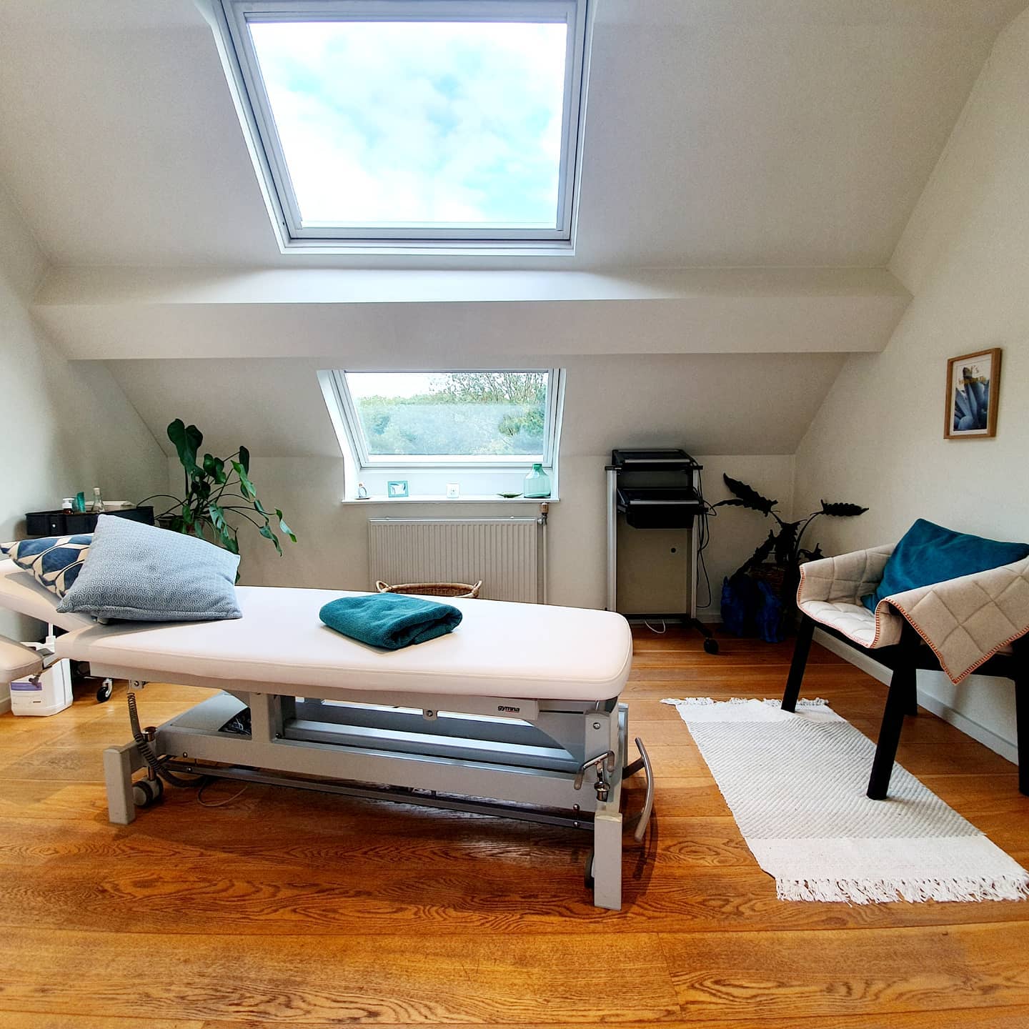 Centre/Centrum Meditrina 🏨©️
#kinesitherapie #personaltrainer #endermologie #kinesport #sintpietersleeuw