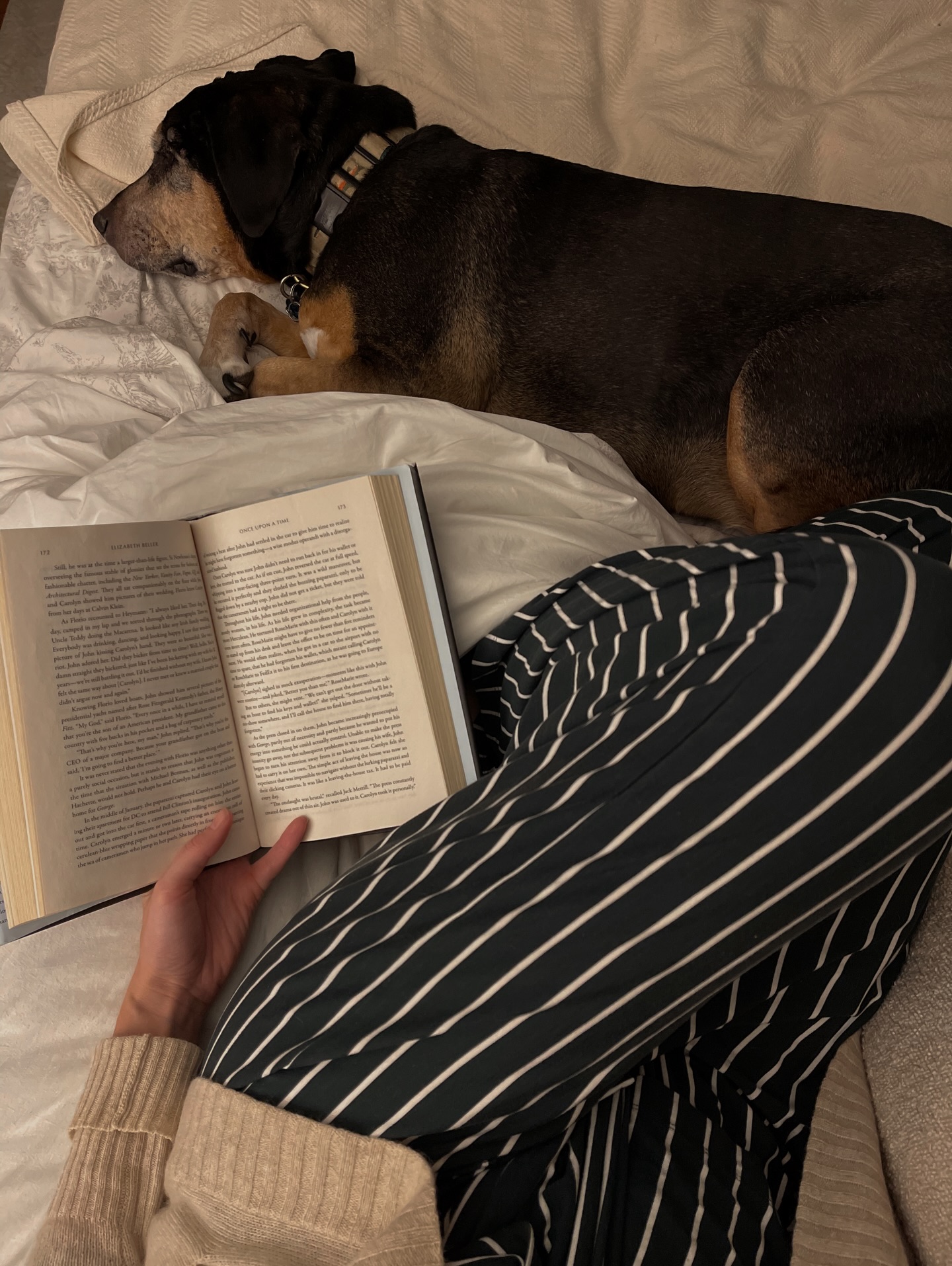 Just adoring these slower months 🕯️