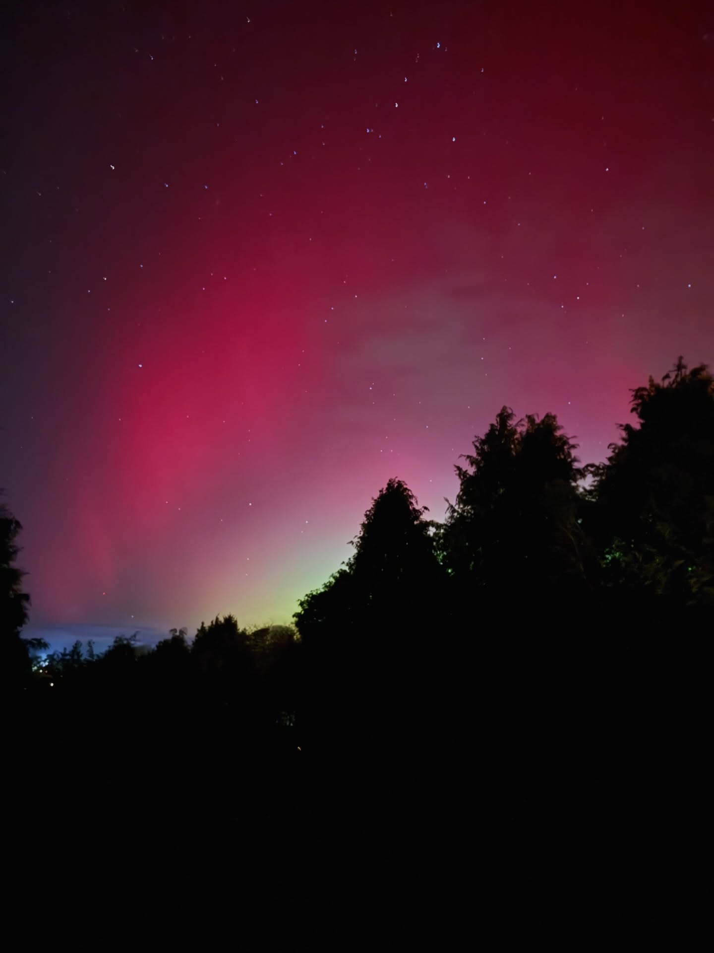 My eldest and I dressed her sleepy little sister in cozy pyjamas and ushered ourselves into the cold night.., A solar storm so powerful two days ago that not only could we see the northern lights in England but they burnt red across the night sky with stars so bright they were like lightbulbs right above our heads! absolutely incredible! #northernlights #totnes #onceinalifetimeexperience. Feeling grateful that my good friend texted late last night to see this once in a lifetime citing! The north lights in england! your the best @sabrina.hall__ thankyou ❤️ CREDIT: 🎥 My 10 year old ✨❤️