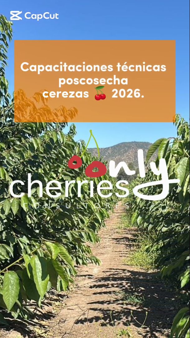 Nos hemos reunido con productores del centro sur del país para compartir las experiencias y los resultados de la temporada 2025/2026. Seguiremos aportando al rubro y en contacto continuo con los productores.