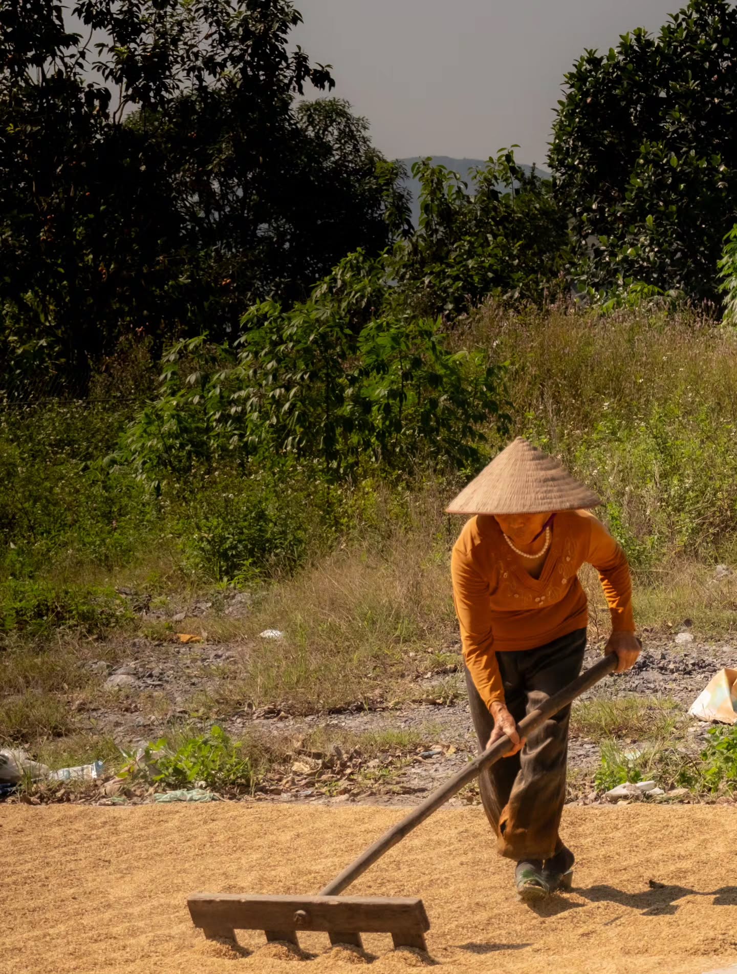 It was a hot day in Ninh Binh ☀️🏍️
I was at the petrol station and while the motorcycles where waiting for fueling, I noticed the ground nearby was covered with small grains 🌾
For a moment, I couldn’t understand what I was seeing because on my way to the petrol station. I noticed the locals carefully moving the grains around the streets, on top of the cars, rooftops as if it were the most natural thing in the world.
So, I asked a her what it was. I thought it might be rice.
She smiled, lifted her face toward the sun ☀️, and told me rice, so I understood it was for drying the rice because we do the same back in Colombia for coffee, cacao, etc...
I helped her for a moment, clearing away some dry leaves 🍂. She smiled and said, “Cảm ơn” 💛
In that instant, I saw time written in her body like when you see the cover of a book and somehow you know what its all about and remembering my mother’s stories like a flashback about how hard rice work really is.
Her beautiful smile almost fooled me🌾🤍