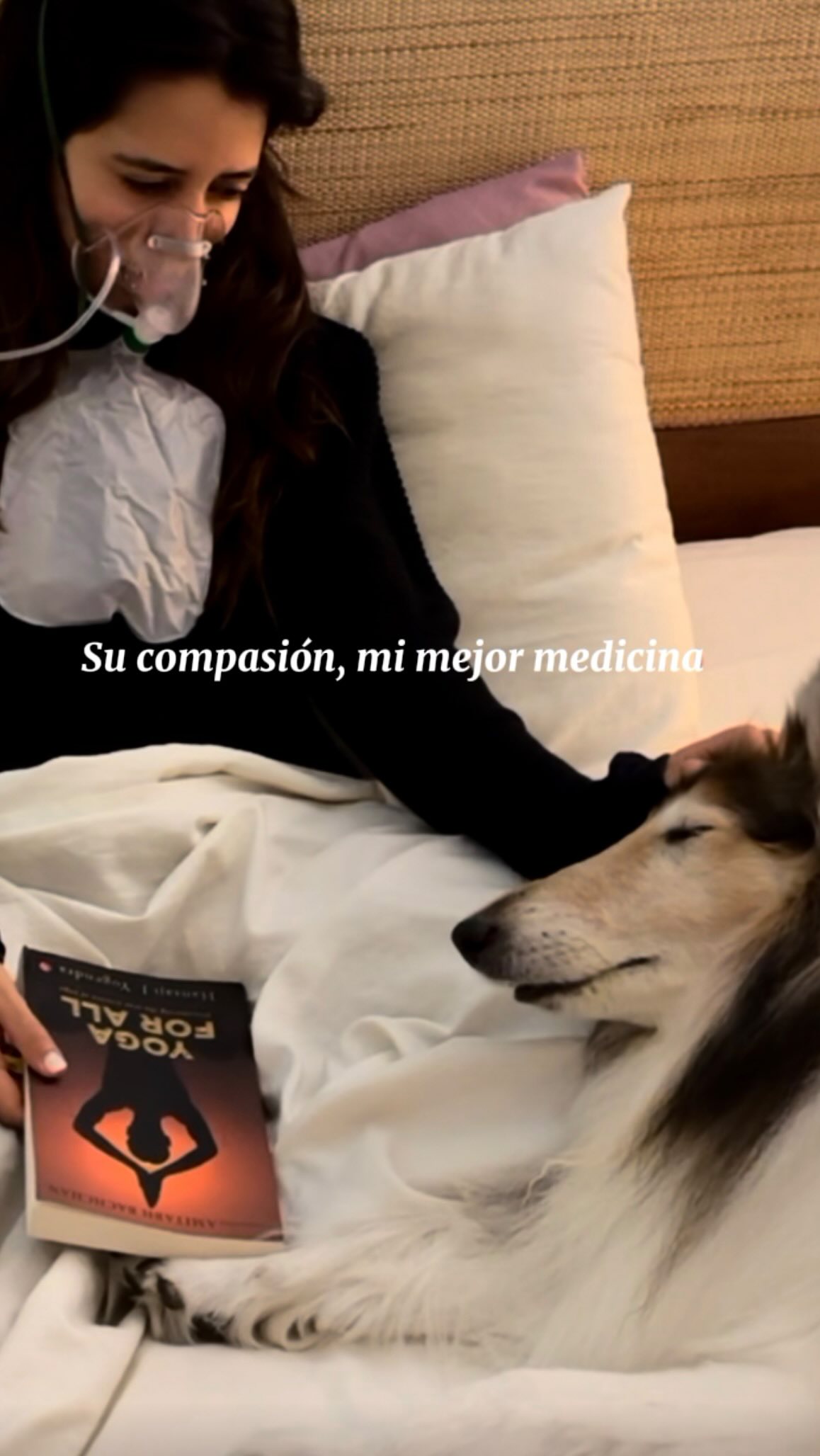 🐾Como siempre lo he compartido, para mí Emma ha sido mi más grande maestra de vida.Y donde más he vivido esa enseñanza ha sido en mi proceso de comprender mi dolor crónico.🔆
🐾Desde los 19 años tengo el diagnóstico de neuralgia de trigémino, un dolor considerado como uno de los más intensos y paralizantes que una persona puede experimentar. Un dolor abrumador, incapacitante, que ha marcado gran parte de mi vida.🤕
🐾Durante muchos años, las respuestas médicas fueron casi siempre las mismas: más pastillas, posibles cirugías, distintas alternativas enfocadas en callar el dolor, pero sin una comprensión profunda de lo que estaba ocurriendo. Vivir empastillada parecía ser la única opción.💊
🐾En medio de todo ese proceso estaba Emma.A través de su empatía, su comprensión y su forma de acompañar, empecé a notar que cuando atravesaba crisis de dolor y ella estaba a mi lado, la intensidad disminuía. También comencé a darme cuenta de que, al integrar distintas técnicas de respiración, el dolor se volvía menos paralizante y mi cuerpo menos tenso.🤍🔆
🐾Eso me llevó a cuestionarme si tal vez existen otras maneras de comprendernos como seres humanos.
Y si quizá el dolor crónico también puede ser una forma en la que el cuerpo intenta expresarse.💞
🐾Desde esa curiosidad comenzó mi camino en el yoga tradicional, del cual llevo más de cuatro años siendo estudiante y que seguiré estudiando toda la vida. Hoy continúo profundizando en una especialización en yoga psychotherapy, con la intención de, con el tiempo, poder compartir estas herramientas con más personas.🪷
🐾En mi experiencia, cuando empecé a comprenderme desde otra perspectiva y a utilizar distintas herramientas que fui cultivando en mi vida, el resultado fue diferente. Hoy llevo más de dos años sin crisis de dolor y con la comprensión de que este dolor ya no tiene por qué paralizar mi vida, sino invitarme a escuchar mejor a mi cuerpo.🐾🤍👣
Conoce más en 💻 www.jacquelinemulliert.com
#perros #compasionanimal #yoga #amorperruno #dolor