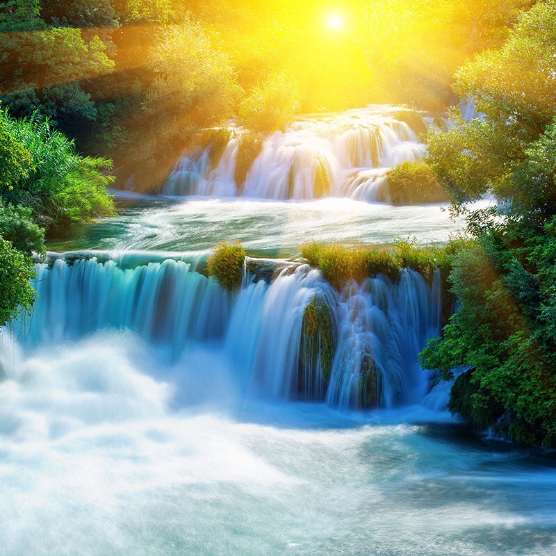 Trees Create Flow. Planting a trillion trees will rehydrate our planet – creating significantly more waterfalls, rain, streams, rivers, lakes, and clouds and recharging water tables around the world.
The more trees we plant the more we can all enjoy the increased flow of fresh water. Please consider switching your web browser to @Ecosia to plant trees for free while you search the web. Ecosia.org is the ‘search engine that plants trees’ by donating 80% of their advertising revenue to effective tree planting projects around the world with a focus on biodiversity hotspots.
Subscribe to @trilliontreescampaign for more inspiring nature content and to connect with ways to plant trees around the world.
#trilliontreescampaign #trilliontrees #treeplanting #reforestation #forests #treesofinstagram #restoration #forestgarden #wildlife #biodiversity #permaculture #agroforestry #nature_artist #climatechange #naturelovers #treelovers #wildlifephotography #naturephotography #wildlifeplanet #nature_seekers #nature_inspiration #wildlife_inspiration #natureart #habitat #forestsofinstagram #water #waterislife #forests