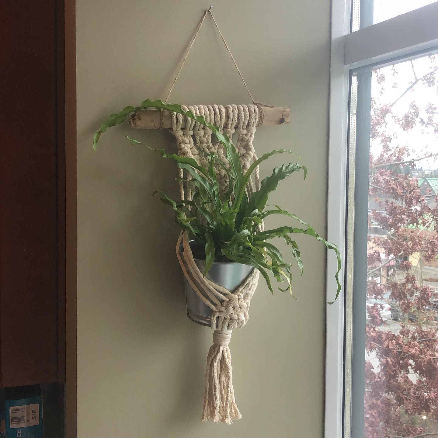 I received this lovely gift from my beautiful friend @fernandfibre for International Women’s Day and it’s hanging in the clinic!