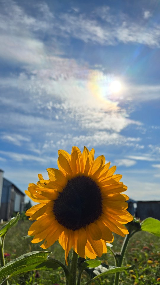 Abonnement aux paniers 2026
www.fermeentrecieletterre.com
Lien en bio