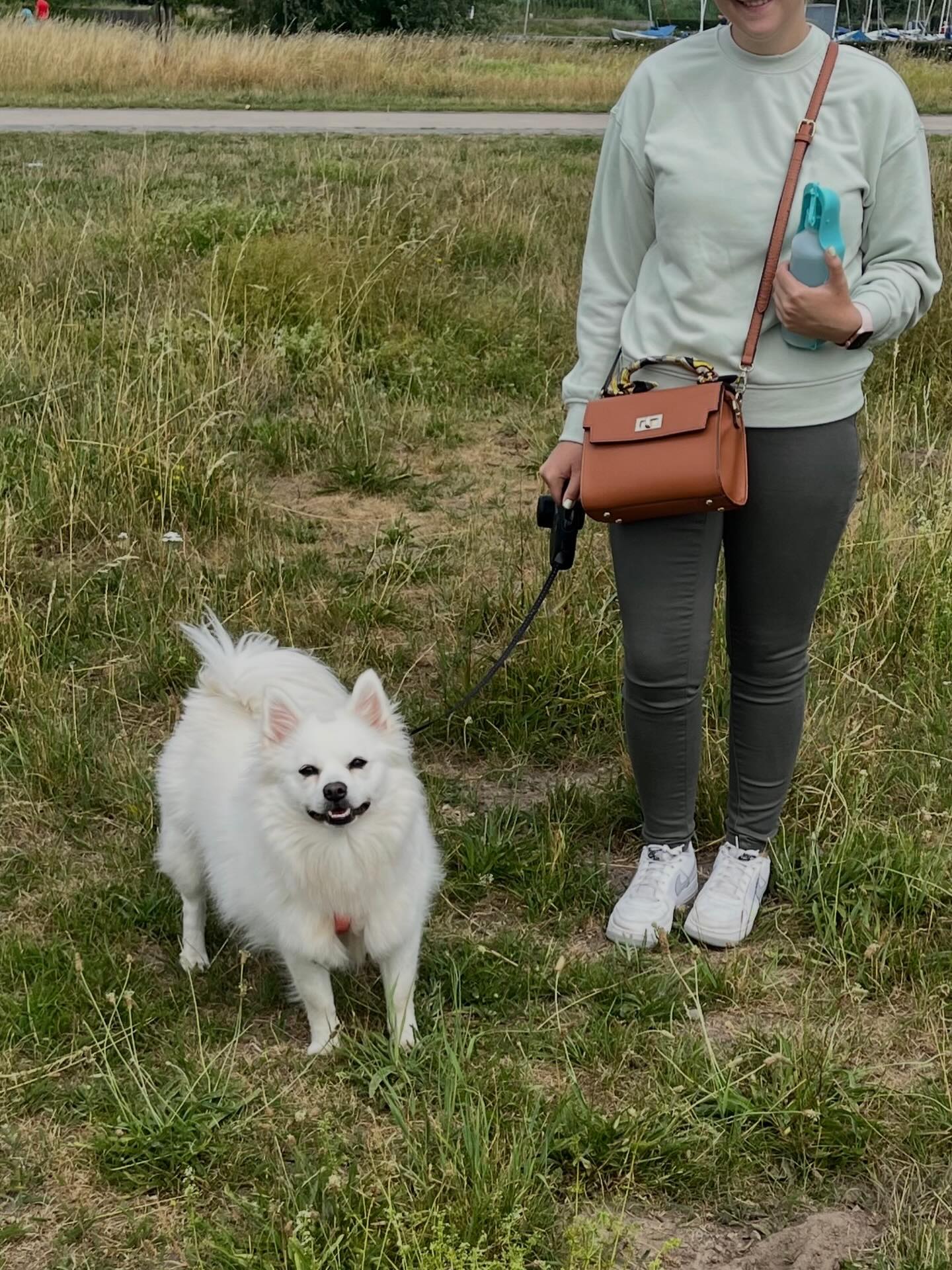 Geslaagd!! Bailey is een fiere hond. De vraag was om toch eindelijk eens rustig te kunnen wandel. We werkten aan de reactie van Bailey naar honden. Het was leuk de mooie evolutie te zien. Goed gedaan Ann-Sofie!! 👌👍🏻👍🏻
Dit is wat de begeleider schreef: “Top trainer! Vriendelijk persoon, legt alles mooi uit zodat je je hond verstaat zonder woorden! Maakt duidelijke afspraken die hij nakomt. Mijn hond was reactief naar andere honden, laatste training liep mijn hond los samen met zijn hond. Echt top!”
We doen ons best en werken verder 💪
#reactievehond #uitvallendehond #gedragstherapiehond #gedragsdeskundige #gedragstherapeut