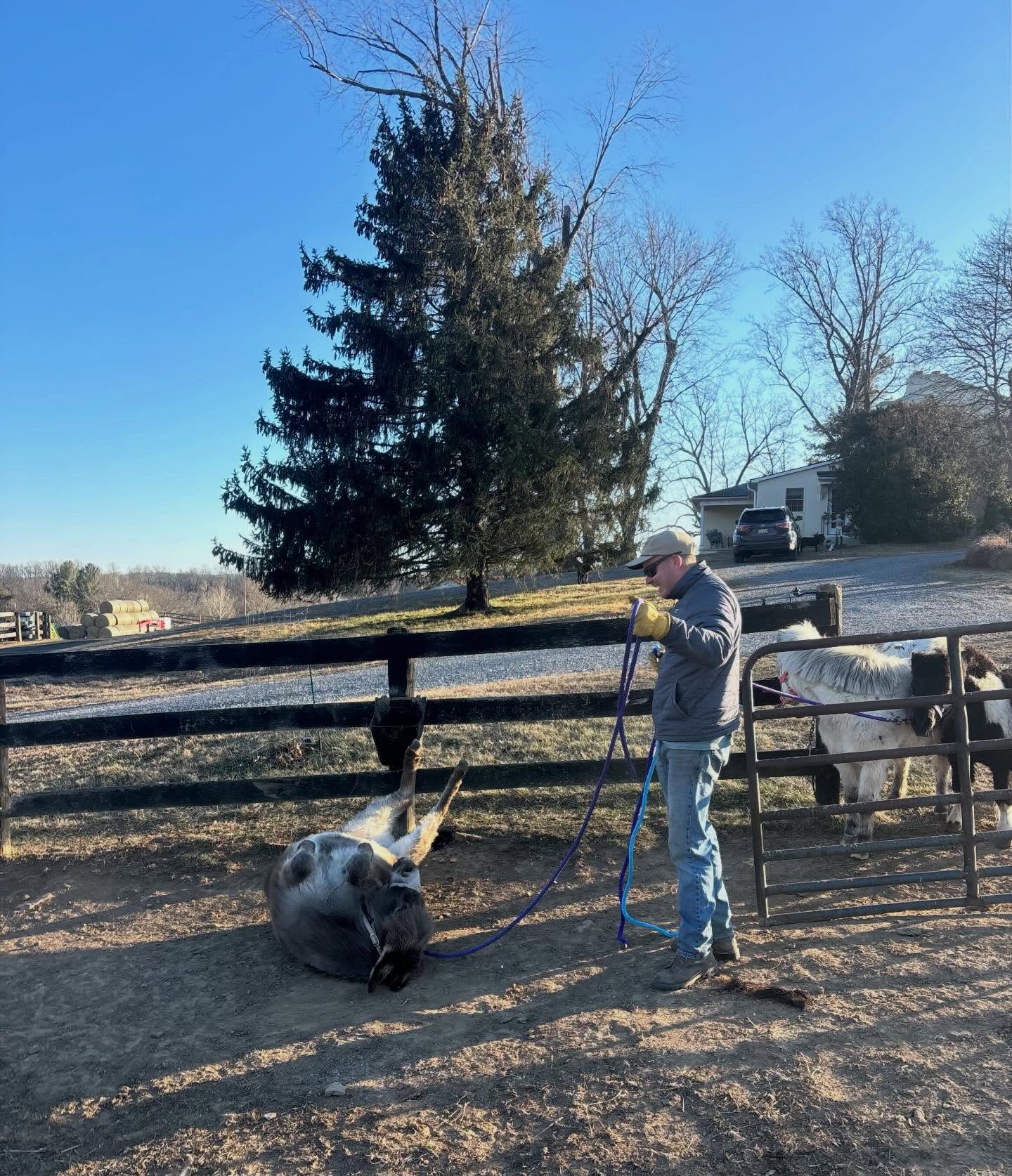 Heโs had this itch since Connecticut ๐๐คฃ๐
MEโก๏ธVA
#piedmonthorseretirement