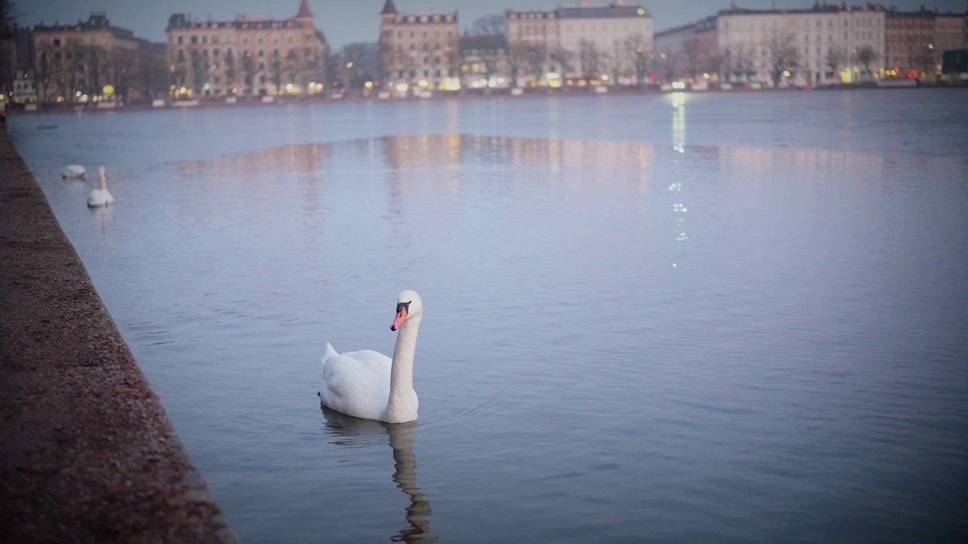 Buffet, vibes – og mindre madspild ♻️
Vi er kommet rigtig godt i gang med vores buffet på Livingstone.
Hvis du ikke har været forbi endnu… så ved du jo godt, at det kun er et spørgsmål om tid 😉
Vi laver maden frisk hver dag og arbejder med mindre serveringer, så buffetten hele tiden er levende – og madspildet holdes nede.
Men man kan altid gøre mere.
Derfor er vi nu også med på Too Good To Go 🎉
Fra mandag kan du finde lækre serveringer i appen – lige her ved Sortedam Sø, midt i København.
God mad smager bare endnu bedre, når den ikke går til spilde 💚
Vi ses hos Livingstone.