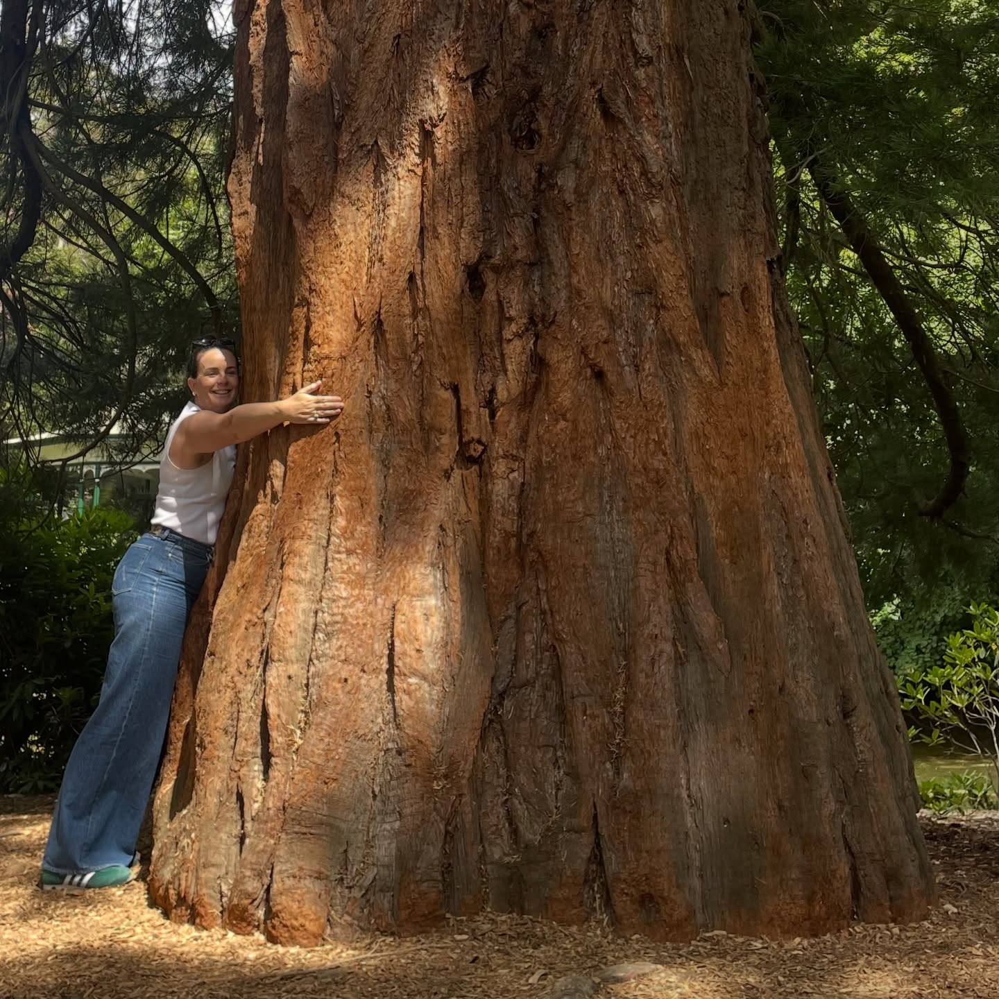 As the road leads home from a few days of holidays my desire to fight the socialists has sharpened. Bolstered by learning more about the sacrifices and suffering of the convicts, let us never forget that our free society is predicated on hard work, determination and self responsibility. Whatever your situation is, you can rise from adversity if you stop allowing yourself to get distracted.
