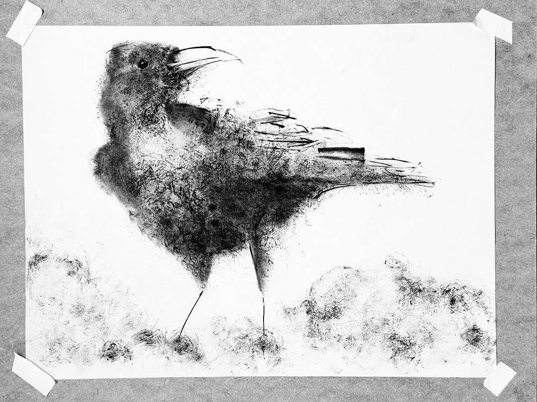 More robin than crow
A morning media exploration —
water soluble oil paint, brayer, pan pastels
#crowdrawing #crowportrait #drawingsmatter