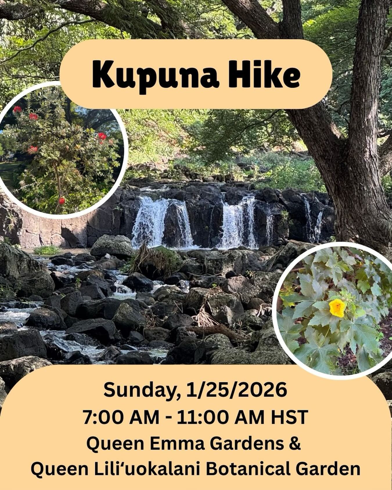Calling all kūpuna! Join Unseen Hawaiʻi Ohana for our third of twelve Kupuna Hikes sponsored by Protect & Preserve Hawaiʻi!
Sunday, January 25, 2026
7:00 AM - 11:00 AM HST
Meet at Queen Emma Gardens at 7:00 AM
1519 Nuuanu Ave, Honolulu Hawai’i 96817
Starting at the Queen Emma Gardens to observe manuokū, Harvey will lead a relaxing walk to the Queen Liliʻuokalani Botanical Gardens to look at the native plants. This is an easy and paved walk, primarily for the benefit of kūpuna over 60-years, but is open to everyone!
All participants must register with Harvey at least 10 hours before the hike. DM him on IG @harveyjr, or on FB @harveynakamoto to register. Participants will need to sign a waiver and fill out a short log-in and post-hike survey.
#kupuna #kupunasgonewild #hawaiifitness #manuoku #nativeplants