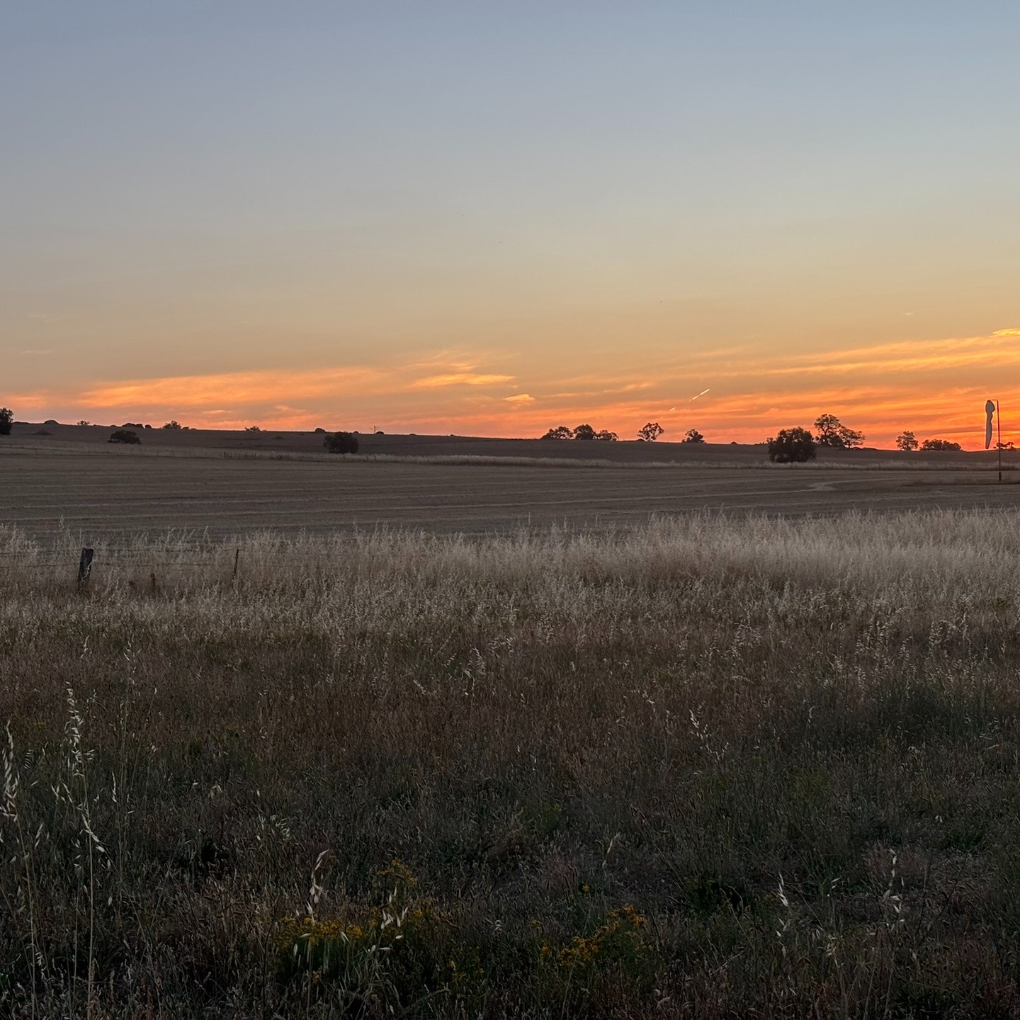 Summer Sunset at the Race Course