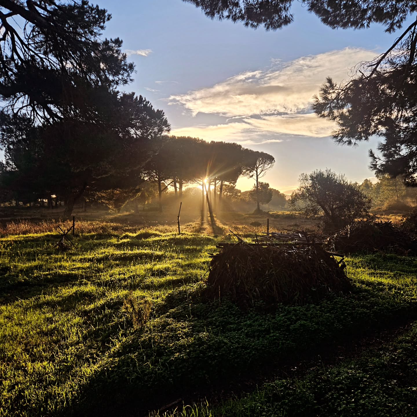 Visiting our colleague and new friend Pedro from @escoladomato in Portugal to plan new combined adventures 🔥☀️🌳
#Bushcraft #portugal #survival #adventure #keepitsimple