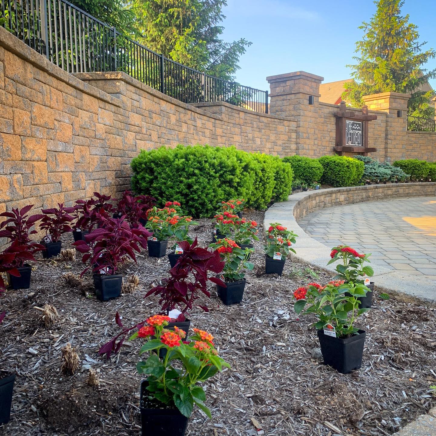 Trying to beat the heat! 🔥🥵🌼
Looking forward to this planting filling in over the next couple of weeks!
#annuals #seasonalcolor #heat #droughttolerant #feelslikesummer #gardening #statecollege #pennstate #landscaper #yondermountain