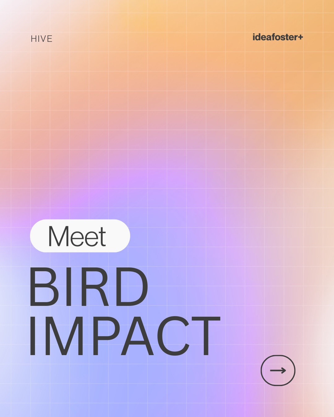 Meet Bird Impact.
The backbone connecting purpose, strategy and long-term growth inside ideafoster+.
Built to scale ideas that matter.
🐝 More HIVE talent coming your way soon.
