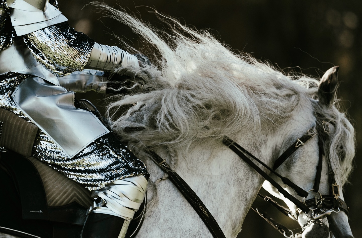 Performer and horse casting paired with handcrafted costumes brought this project to life. During the shoot, story, character and craft came together to create the campaign imagery and launch film.
For @wearewaveagency @primus_beers
#soul15 #soul15costumesandconcepts #entertainment #liveentertainment #evententertainment #liveacts #performingarts #conceptcreaton #welovetoentertain #charactercreation #concept #designstudio #costume #costumedesign #costumeatelier #atelier #knight #horses #primus #launch #launchevent #campaign