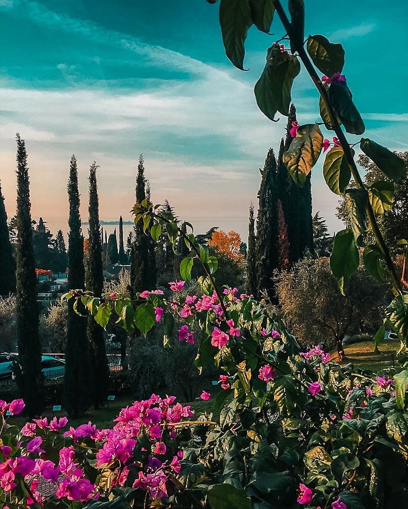 🌺 Scorci di Lago
Una magnificenza fatta di colori sgargianti, petali vellutati e profumi penetranti. Un’estasi dei sensi insomma quella che si può trovare nel parco del Vittoriale.
⁉️ Lo sapevi che il colore rosa è simbolo della giovinezza, affetto e spesso è associato alla grande ammirazione? In un giardino i fiori dalle tonalità rosa generano un senso di sicurezza.
🚗 Questa è solo una piccola parte di quello che si può ammirare nei vari giardini e parchi della Lombardia. Se abitate a Milano non vi resta che prendere la macchina e solamente a un 1h30 di distanza potrete ritrovarvi sul Lago e godere di panorami mozzafiato.
E tu sapevi che ogni fiore ha un colore e un significato specifico? 🌸🌺
#flowers #travelblogger #places #lombardia #travelwithiaia #nature #naturelover #naturagram #LagodiGarda #ig_italy #botanical #viaggiare #inviaggio #lombardiadavedere #italia_cartoline #ig_lombardia