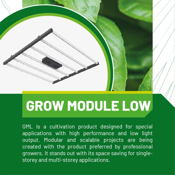 Grow Module Low
GML is a cultivation product designed for special applications with high performance and low light output. Modular and scalable projects are being created with the product preferred by professional growers. It stands out with its space saving for single-storey and multi-storey applications.
#smartgarden #growlight #indoorfarming #topraksıztarım #Ledgrowlight #indoorsmartgardening #tissueculture #dokukültürü #greenhouse #hydroponicfarming #horticulture