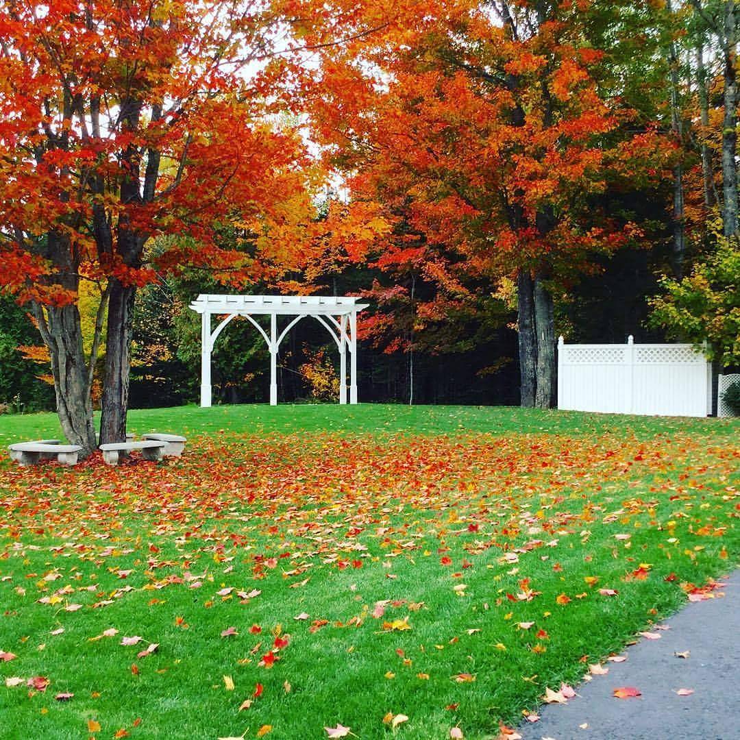 It's officially Fall and Meadowbrook Reception Center is booking for 2017. Come check us out for a really awesome promotional discount! #meadowbrookreception #weddingvenue #fall #autumn #eddingtonmaine #fallwedding