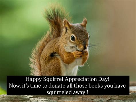 #friendsofthecamarillolibrary #donate #read #squirrel #camarillolibrary