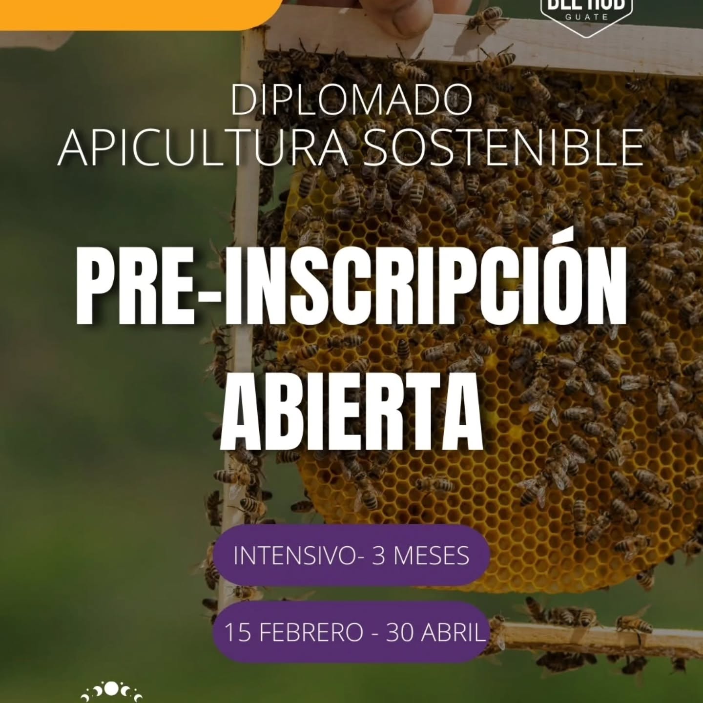 #Repost @beehubgt
...
¡PRE-INSCRIPCIÓN ABIERTA!
Diplomado en Apicultura Sostenible | BeeHub Academy 🐝
En BeeHub abrimos la pre-inscripción de nuestro Diplomado en Apicultura Sostenible, una formación intensiva para quienes desean aprender apicultura desde un enfoque ético, técnico y ambientalmente responsable, poniendo en el centro el bienestar de las abejas y la biodiversidad 🌱💜
🔸 Información general:
✔️ Duración: 3 meses | 30 horas
✔️ Modalidad virtual (jueves · 18:00 hrs GT)
✔️ Material digital especializado
✔️ Conferencistas nacionales e internacionales invitados
✔️ Certificado digital BeeHub
✔️ Gira de campo opcional (precio adicional)
📅 15 de febrero al 30 de abril 2026
📖 Inversión total:
🐝 Q1,000 (pagando antes del 20 de enero)
🐝 Q1,200 (pagando a partir del 20 de enero)
🌍 ¿Por qué BeeHub?
Contamos con más de 7 años de experiencia en rescate de colmenas, manejo responsable, santuarios de conservación, apicultura biodinámica y educación ambiental en Guatemala. Nuestra metodología combina ciencia, práctica en territorio y una visión de conservación a largo plazo.
✨ Este diplomado no solo enseña apicultura: forma apicultores conscientes.
📩 Para pre-registrarte, envíanos un mensaje directo.
🔎 Conoce más sobre nosotros en nuestra página: www.beehubguate.com
Cupos limitados 🐝
#educacionambiental #ApiculturaSostenible #Apicultura #beehubgt #Polinizadores