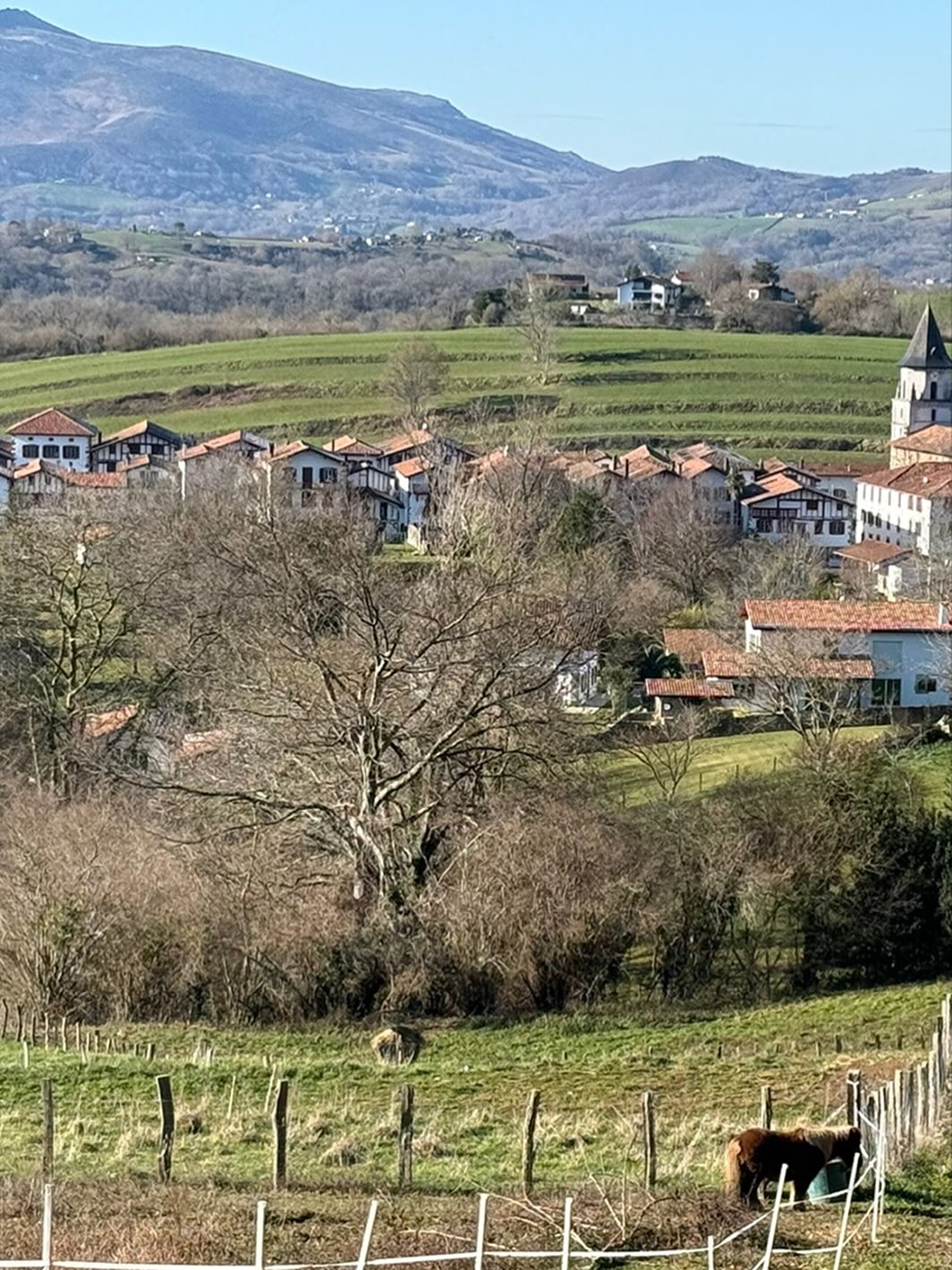 L’atelier est un lieu de recherche.
Ici, les toiles se parlent entre elles, les couleurs dialoguent, les gestes se répètent.
Rien n’est totalement terminé, rien n’est totalement figé. C’est dans cet espace que les
peintures prennent forme, lentement, entre hésitations, élans et reprises.
L’atelier comme paysage intérieur.