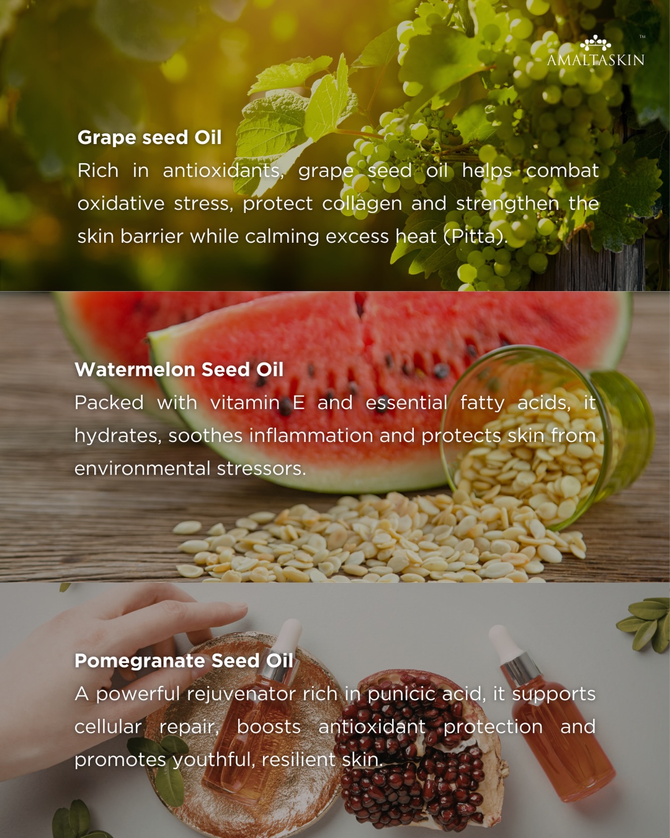 Nature knows best.
A powerful blend of grapeseed, watermelon seed and pomegranate seed oils - rich in antioxidants, essential fatty acids and skin-rejuvenating actives that protect, hydrate and restore skin harmony.
DM now to buy.
#amaltaskin #skincare #skincarelover #skincarelovers #skiningredients