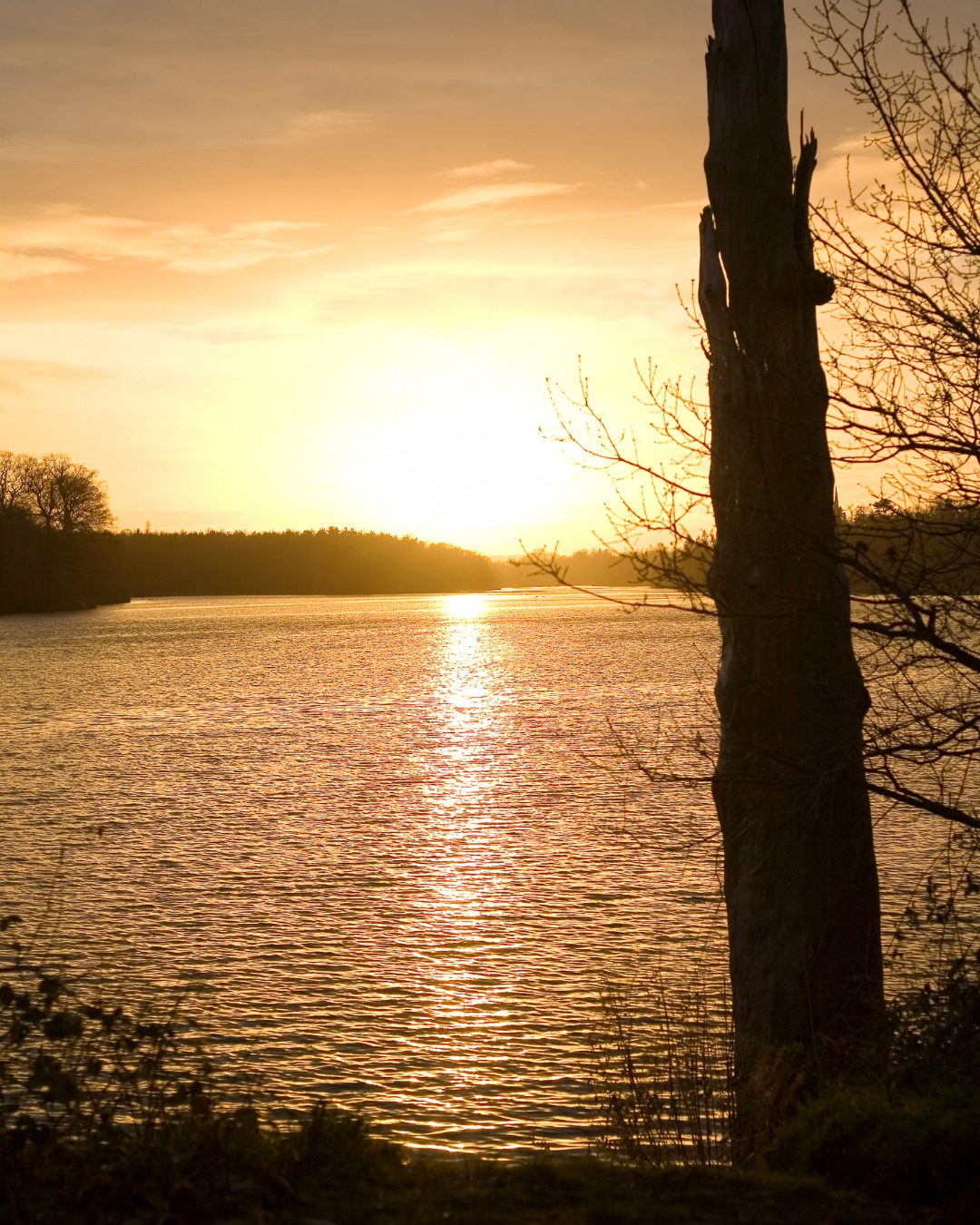 ❄️ Fresh-air resets in Nottinghamshire 🌲
January is the perfect time to lace up your boots and enjoy the quiet beauty of our local trails. Wander through Sherwood Forest, stroll beside the lake at Clumber Park, or explore the frosty paths around Rufford Abbey, all wonderfully peaceful at this time of year.
With fewer crowds, crisp winter air, and frost-tipped leaves underfoot, it’s the ideal way to clear your mind and embrace the slower pace of the season.
Where will your first walk of the year take you?
#VillageHolidays #WinterWalks #FreshAirReset #SherwoodForest #ClumberPark #RuffordAbbey #CountrysideEscape #ExploreNottinghamshire #NewYearCalm