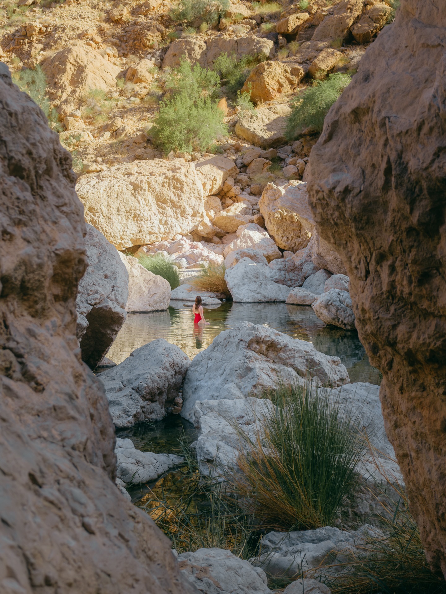 📍 Wadi Al Arbeieen | Oman
Das Wadi Al Arbeieen zählt für uns ganz klar zu unseren liebsten Wadis im Oman. Schon die Fahrt über die spektakuläre Bergstraße ist ein Erlebnis für sich und eröffnet einen atemberaubenden Ausblick nach dem nächsten.
Neben den bekannten großen Pools am Anfang warten weiter oben im Gebirge viele versteckte Naturpools darauf entdeckt zu werden. Der Weg dorthin führt durch einen verwunschenen Palmenhain, bei dem man den alten Bewässerungsgräben folgt. Sobald man den Palmenwald hinter sich lässt, führen diese Gräben direkt zu einsamen, kristallklaren Pools mitten in der Felslandschaft.
Perfekt für eine ruhige Abkühlung abseits der bekannten Spots ✨
👉 Speicher die diesen Spot für deine Oman Bucket List.
.
.
.
#oman #wadialarbeieen #wadilife #hiddenplaces #omantravel