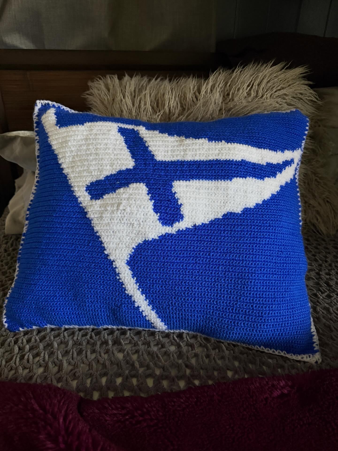 Made another pillow 🤗 for @marcy.fleming