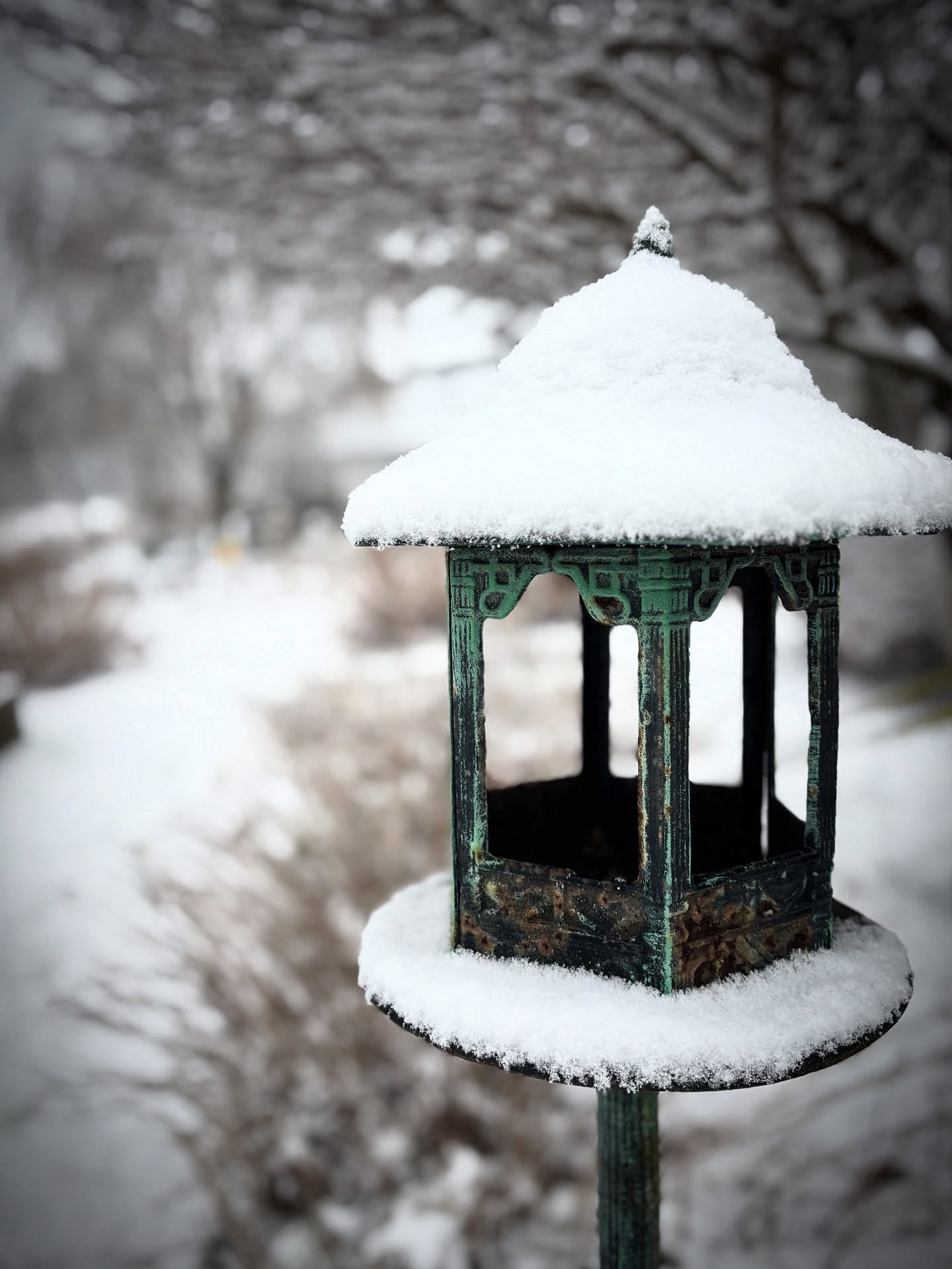 I love the Winter garden. It's a quiet time to notice all of the beauty without the distraction of greenness, blooming and buzzing- without the bright sun and heat.
