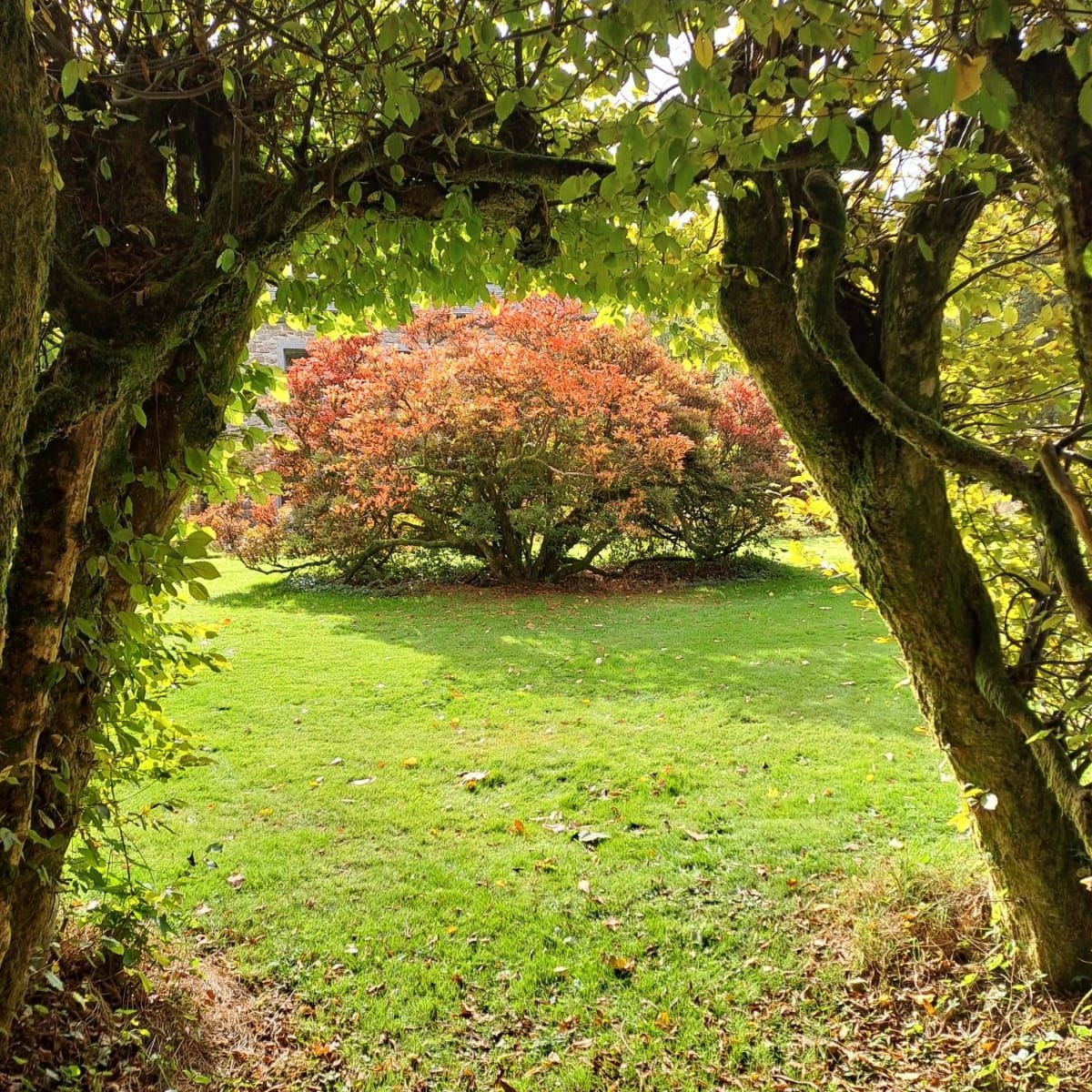 OFFRE A TON CORPS & TON ÂME UNE THERAPIE SYLVESTRE🌲
Un week-end de Thérapie Sylvestre pour te reconnecter, te ressourcer et te réaligner profondément:
🧘♀️✨ Du vendredi 10 avril à 14h au dimanche 12 avril à 17h
Et si tu faisais une vraie pause ?
Une pause hors du bruit, hors du stress, hors de l'agitation…
Une parenthèse de douceur et de puissance, en pleine nature, pour revenir à l’essentiel : TOI.
Imagine :
🌿 marcher en conscience dans une forêt vibrante,
🍃 ressentir la force silencieuse des arbres qui t’enveloppent,
🌀 respirer, t’ancrer, t’aligner,
✨ te reconnecter à ton énergie vitale…
Ce week-end est bien plus qu’une simple retraite. C’est une expérience immersive, une alchimie subtile entre la nature, les traditions énergétiques et les rituels de transformation intérieure.
💚 Ce que tu vivras pendant ce week-end unique :
🌲 Bain de forêt (Shinrin Yoku) – Sylvothérapie profonde et ressourçante
🌀 Qi Gong & Taichi dans la nature – Pour faire circuler ton énergie vitale
🌬️ Respiration consciente et alignement – En salle et en forêt
🌟 Rituels de connexion aux éléments – Une magie naturelle et puissante
🪷 Méditations, ancrage & centrage – Pour une paix intérieure durable
💫 Exploration des corps subtils & ouverture des sens
💖 Moments de partage, de détente… et des surprises !
✨ Pour qui est-ce ?
Tu es au bon endroit si tu :
✔️ te sens déconnecté(e), fatigué(e) ou dispersé(e)
✔️ cherches à te recentrer, à retrouver ton énergie
✔️ veux t’ouvrir à tes ressentis et (re)trouver ton intuition
✔️ veux te reconnecter à la nature ET à ta nature profonde
✔️ souhaites repartir avec des outils concrets et puissants pour ton bien-être au quotidien
🌿 Animé avec cœur par :
👩🦰 Sylvia Joris – Sonothérapeute, praticienne en Écorituel®, massages signatures, soins énergétiques & formatrice en naturo-esthétique
👩🦳 Geneviève Bozet – Thérapeute corporelle énergétique (Art du Chi – Taichi), Shiatsu, Libération du Péricarde
Deux femmes-médecine, deux univers, une même intention : t’accompagner vers ton mieux-être.
📍INFOS PRATIQUES :
📅 Du 10 avril à 14h au 12 avrilà 17h
📍Lieu paisible et inspirant en pleine nature
💰 Tarif enseignement :
👉 400€ HTVA
+Pension complète