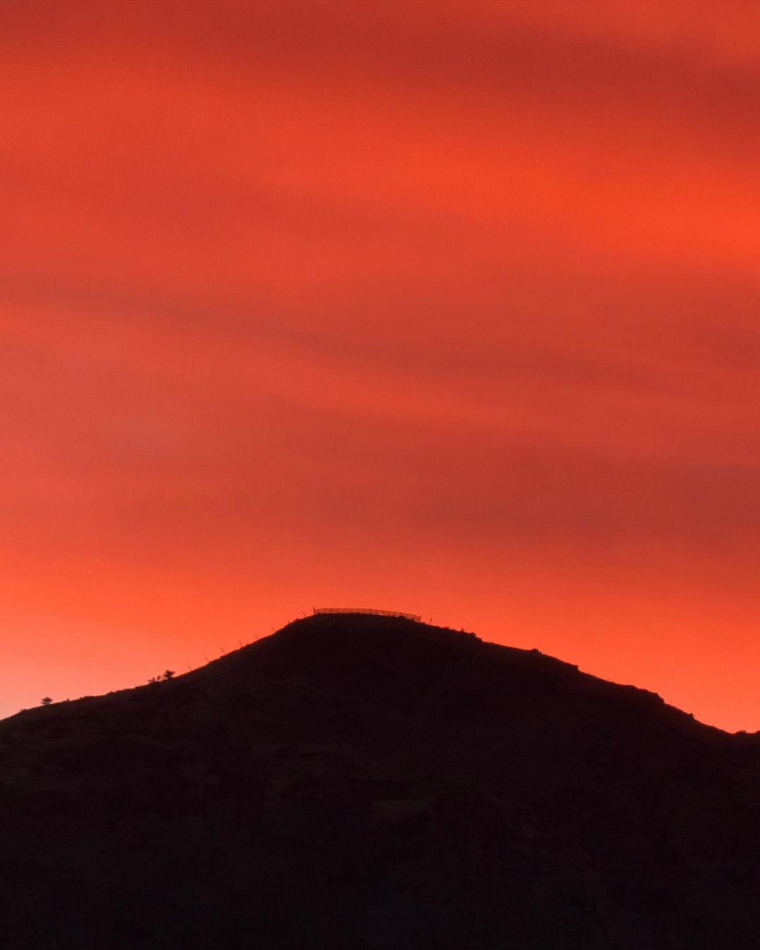 Two years ago I landed in NZ Aotearoa (I can and I can’t believe it at the same time!)
Thinking about what to post to mark the day, I looked outside and saw this - perfect.
#sunsets #sunsetsnz #mountainsview #southisland #unedited