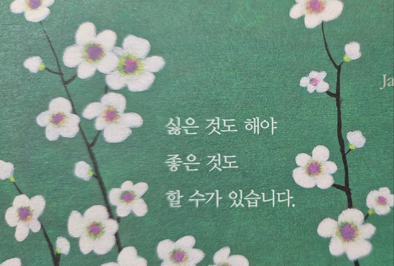 May be an image of baby's-breath and text that says 'Ja ์ซ์ ๊ฒ๋ ์ซ์๊ฒ๋ํด์ผ ํด์ผ ์ข์ ์ข์๊ฒ๋ ๊ฒ๋ ํ ์๊ฐ ํ ์๊ฐ ์์ต๋๋ค.'