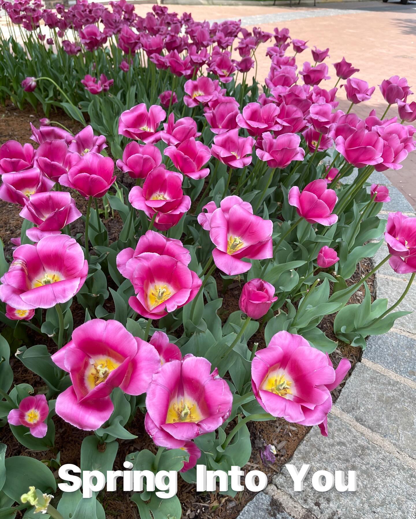 Project Refind is meeting again 3/13 for women to plant the seeds and help each other grow. We will be getting our hands dirty! Register at ProjectRefind.com or send a DM. We meet in person in Palos Verdes.