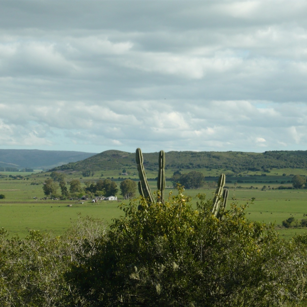 Investigan la muerte de una pareja de adultos mayores en zona de Las Cañas
El hecho fue denunciado por una persona que se presentó en dependencias policiales y relató que al concurrir al domicilio de unos amigos, los encontró fallecidos. Se trata de un hombre y una mujer de nacionalidad checa, ambos de más de 90 años de edad.
Según la información primaria, el hombre fue hallado con un arma de fuego en la mano, por lo que el hecho se encuentra bajo investigación policial.
El episodio ocurrió en una vivienda ubicada sobre Ruta 39, en la zona de Las Cañas, donde trabaja personal policial junto al Comando de Jefatura, realizando las actuaciones correspondientes.
Noticia en desarrollo. Investigan la muerte de una pareja de adultos mayores en zona de Las Cañas
El hecho fue denunciado por una persona que se presentó en dependencias policiales y relató que al concurrir al domicilio de unos amigos, los encontró fallecidos. Se trata de un hombre y una mujer de nacionalidad checa, ambos de más de 90 años de edad.
Según la información primaria, el hombre fue hallado con un arma de fuego en la mano, por lo que el hecho se encuentra bajo investigación policial.
El episodio ocurrió en una vivienda ubicada sobre Ruta 39, en la zona de Las Cañas, donde trabaja personal policial junto al Comando de Jefatura, realizando las actuaciones correspondientes.
Noticia en desarrollo.