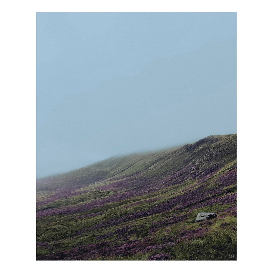 #peakdistrict #glossop #snakepass #hiking #ukhikers #landscape #fog #heather #landscapephotography #senseofplace #placephotography