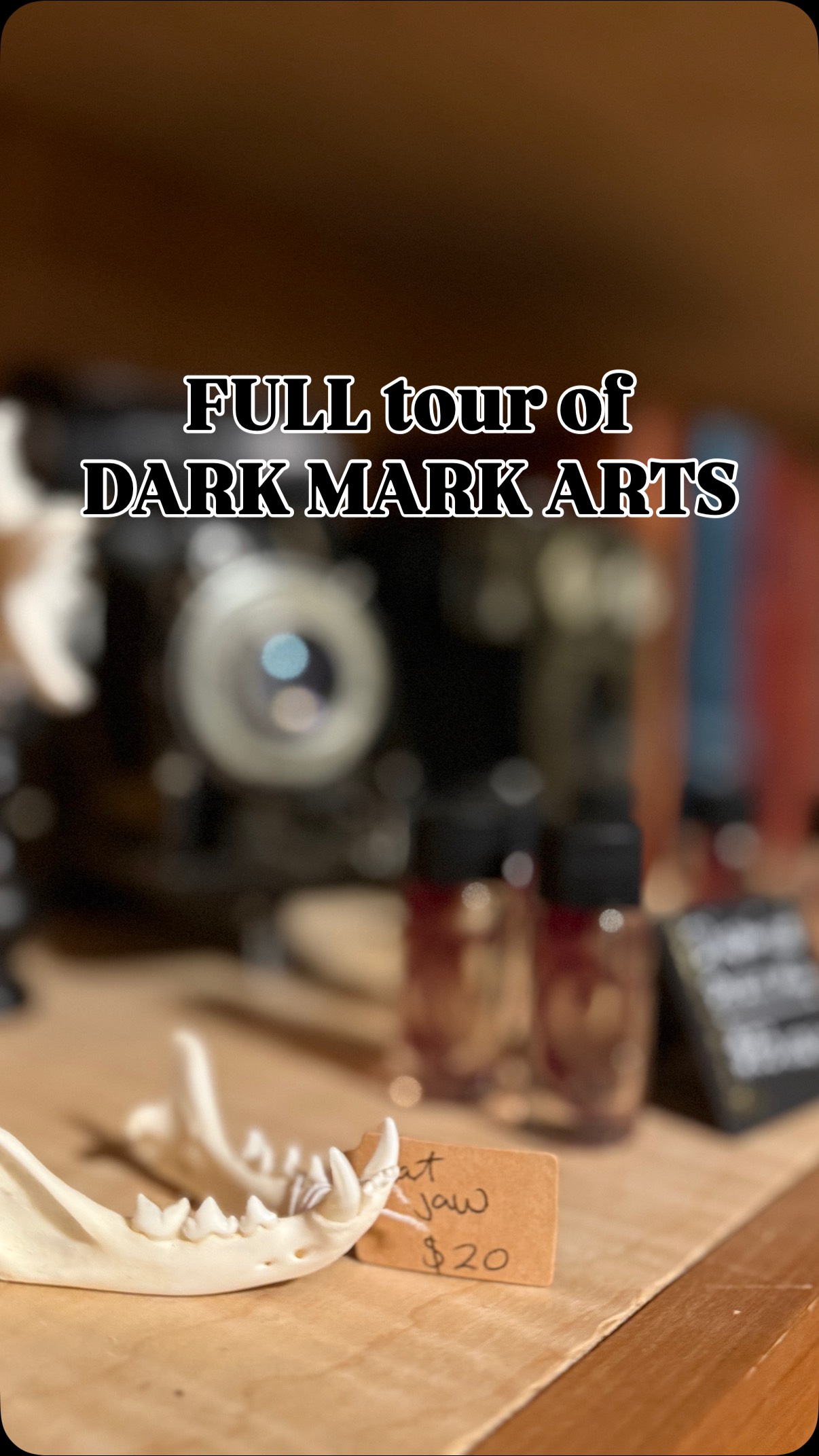 Get the FULL tour of the shop- and stay safe out there!
#tattooshop #oddities #abq #staysafe #education