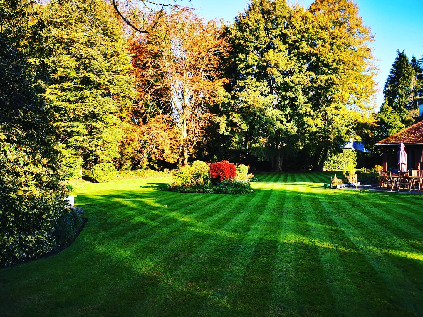 Grass cutting in the Autumn sun this week. No sign of it slowing down.
#grasscutting #grass #bloomsford #portsmouth #meonvalley #fareham #gardener #gardening #outdoors #lovemyjob #green