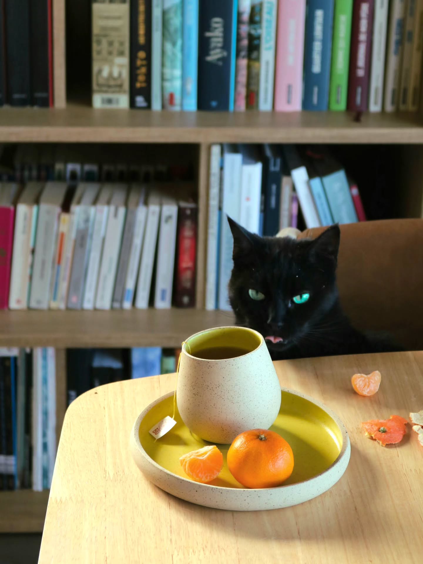 Post-it vous souhaite un bon lundi et une bonne semaine en vous montrant son plus beau blep 💅 (elle est pas super bien élevée la jugez pas)
Et les miettes de croquettes dans ses poils, c'est pour mieux m'achever 🫠