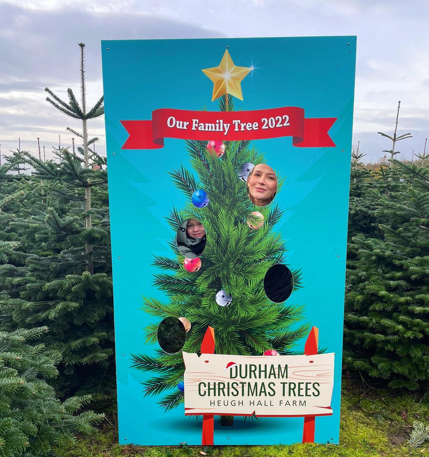 We are open all weekend 10.30am - 3.30pm, come and find your perfect tree🎄🪚
☔️ We are happy to move any slots booked for next weekend if you would rather visit our PYO plantation this weekend whilst there is no rain forecast, please just drop us a message 😊
🎪 Our pre cut Nordmann Fir range is displayed under shelter this year, located next to our plantation
🎄☕️ We also sell pot grown trees, Christmas tree stands & refreshments
🚗 Delivery available starting from £5
🥾 Please remember to wear wellies or walking boots when visiting the plantation
🛷 NEW attractions for all to enjoy (please tag us on social media)
🐕🦺 Dogs must be on a lead
🌟 See our website for further details durhamchristmastrees.co.uk
#outdooractivities #locallysourced #freshlycut #pickyourown #PYO #durham #christmastrees #northeast #durhamchristmastrees #heughhallfarm #smallbusiness #christmasiscoming #nordmann #fir #norway #spruce